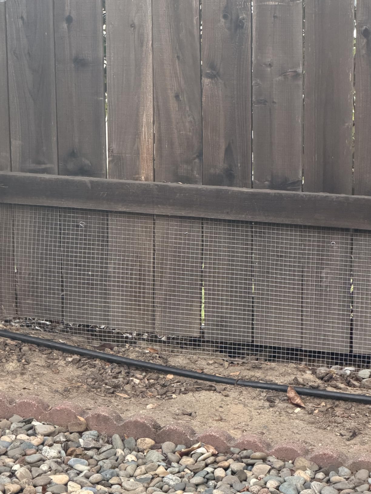 Land Guard 19 Gauge Hardware Cloth, 1/2 inch Chicken Wire Fence, Galvanized Welded Cage Wire Mesh Roll Supports Poultry Netting Cage Fence… customer photo 1