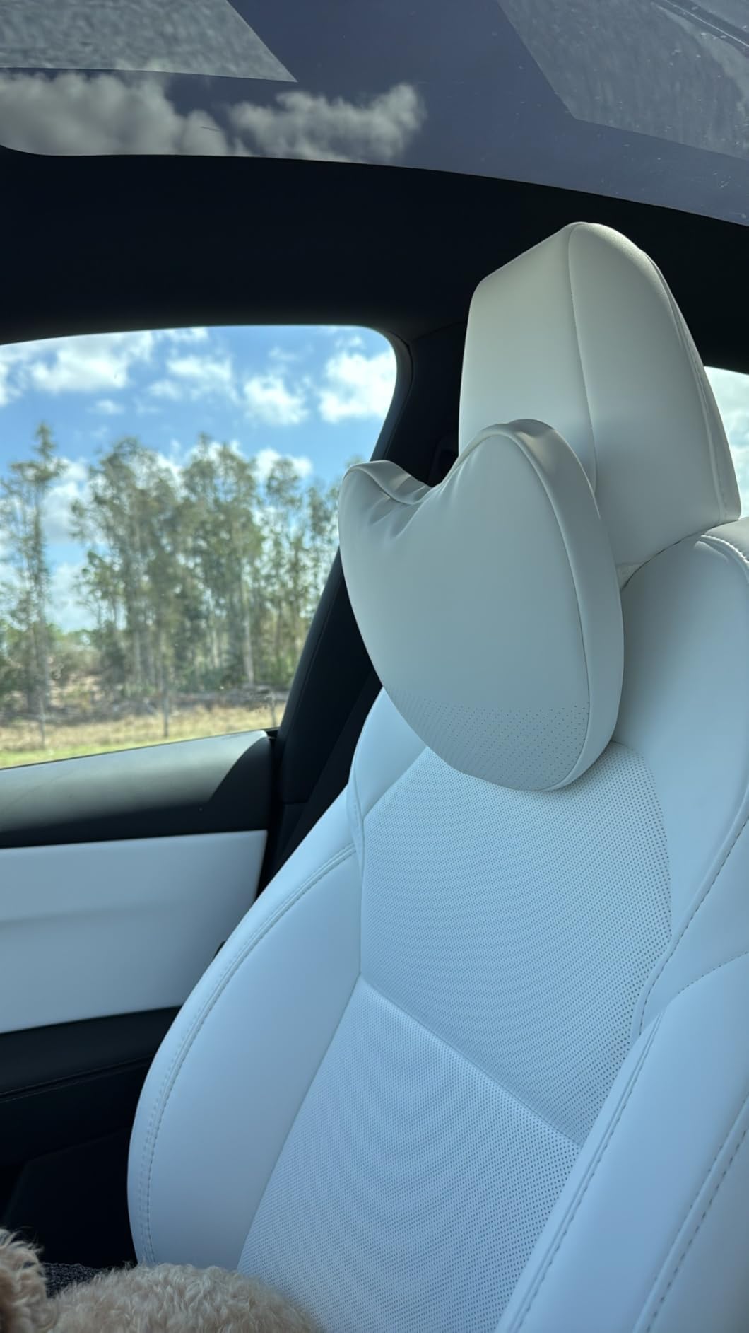 TANOLA TESBEAUTY Headrest Pillow 2 Packs for Tesla Neck Pillow Designed for Tesla Model Y, Tesla Model 3/S/X/CyberTruck, Tesla Car Neck Pillow Support Cushion for People Under 5'7
