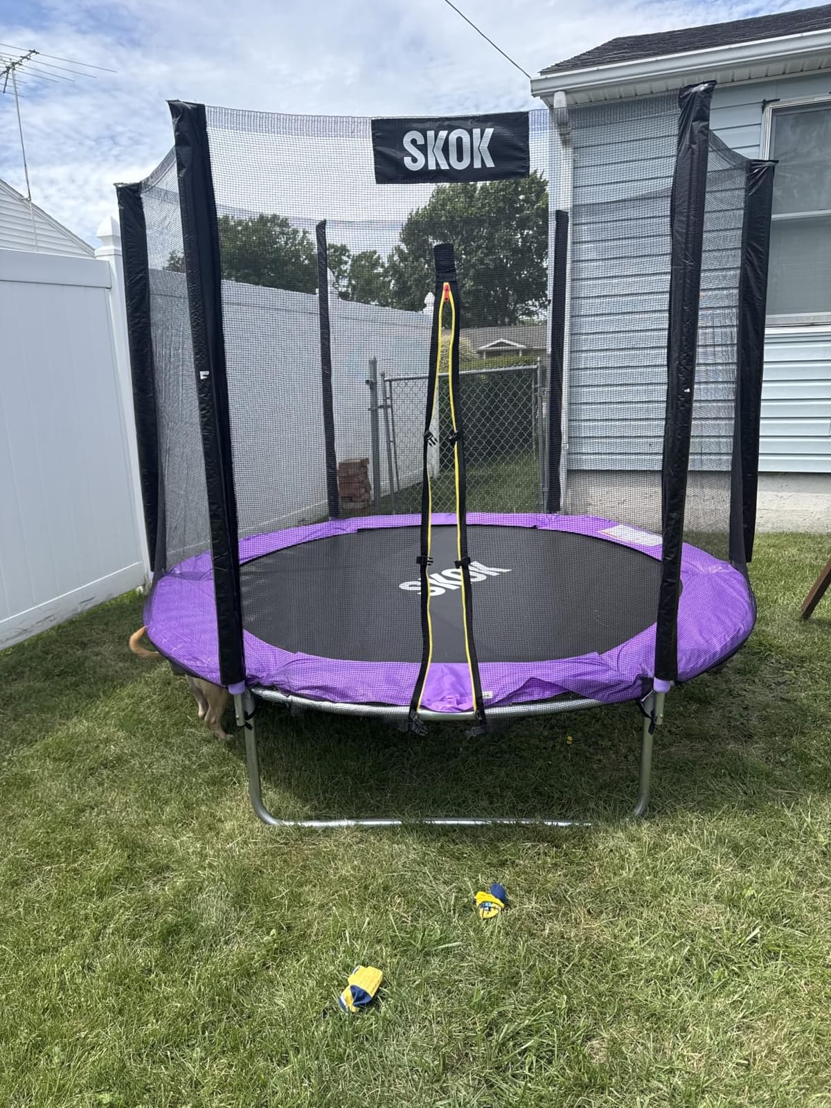 SKOK Trampoline for Kids,400LBS Outdoor Trampoline with Net-ASTM Approved Trampoline for Children and Adults customer photo 2