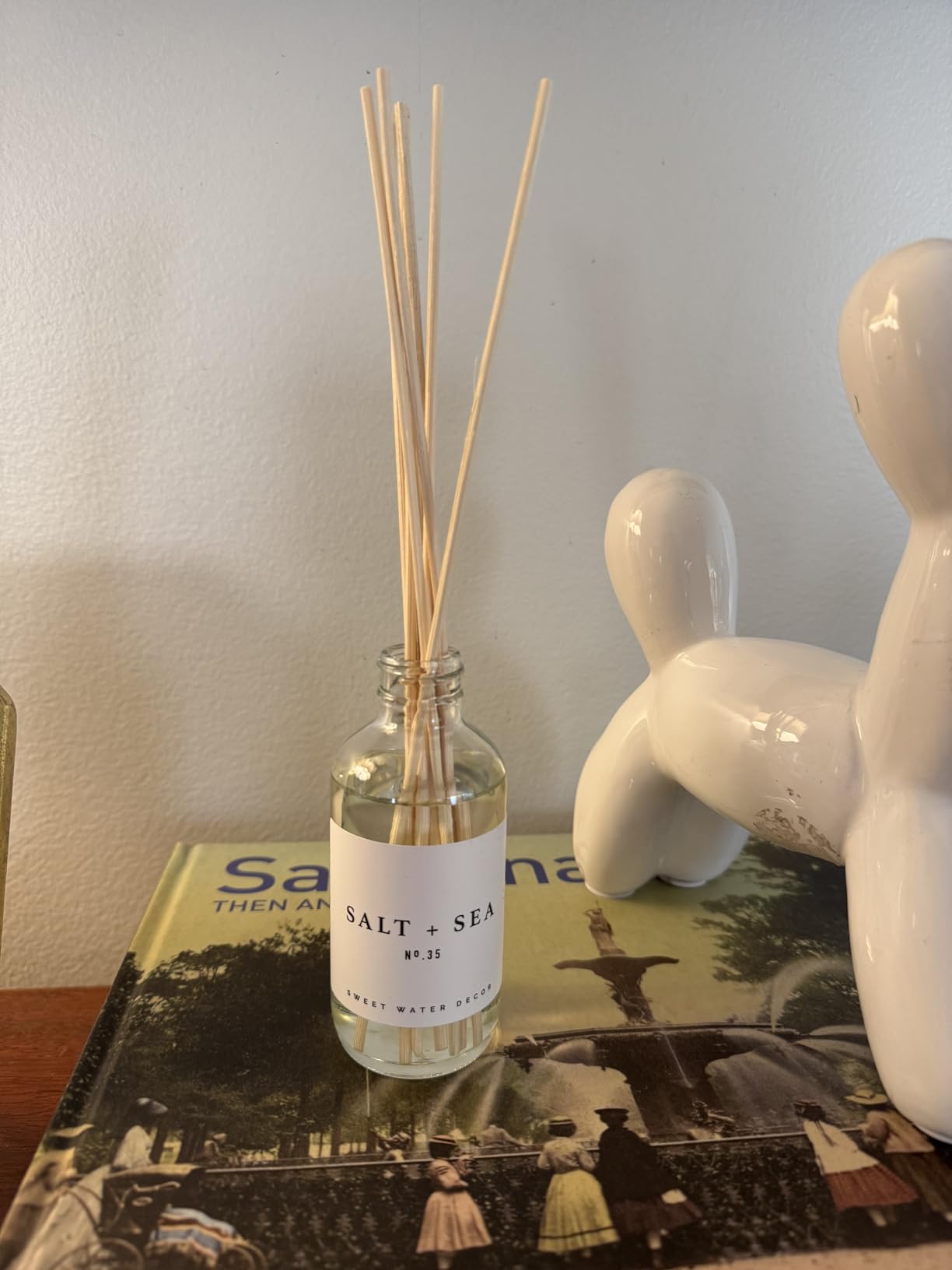 Sweet Water Decor Salt & Sea Reed Diffuser Set - Sea Salt Citrus & Musk Amber Scent Diffuser - Reed Diffusers for Home with Long Lasting Fragrance - Non-Toxic Oil Reed Diffuser - Made in the USA customer photo 2