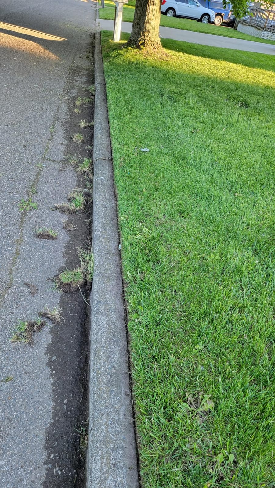 Greenworks 40V 8 in Cordless Electric Lawn Edger, 4.0 Ah Battery, Charger customer photo 2