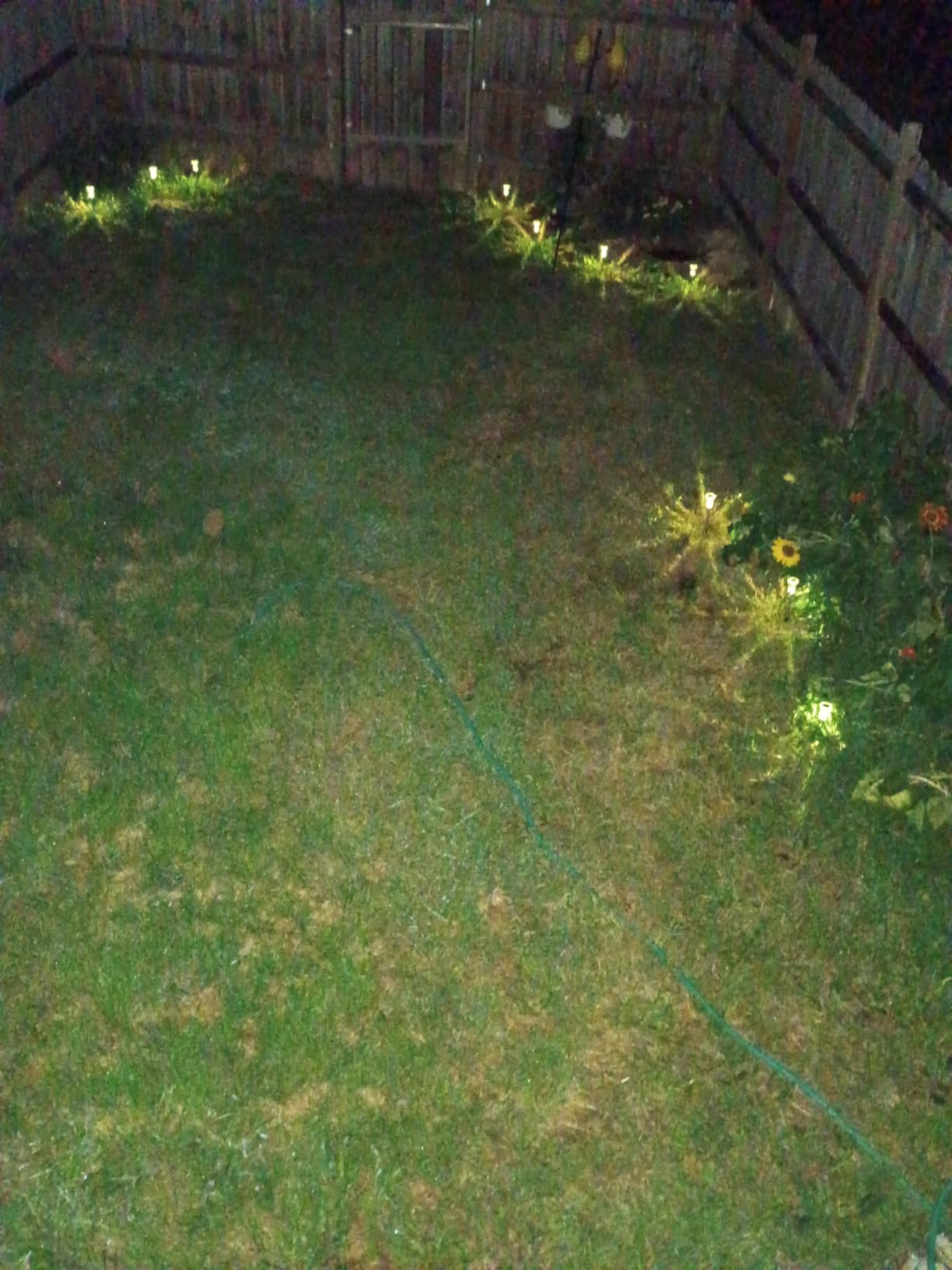 Eyrosa Solar Outdoor Lights, 10 Pack Waterproof Stainless Steel Solar Stake Lights for Pathway Garden Yard Path Walkway Driveway Lawn Patio Outside Decor, Cool White customer photo 2