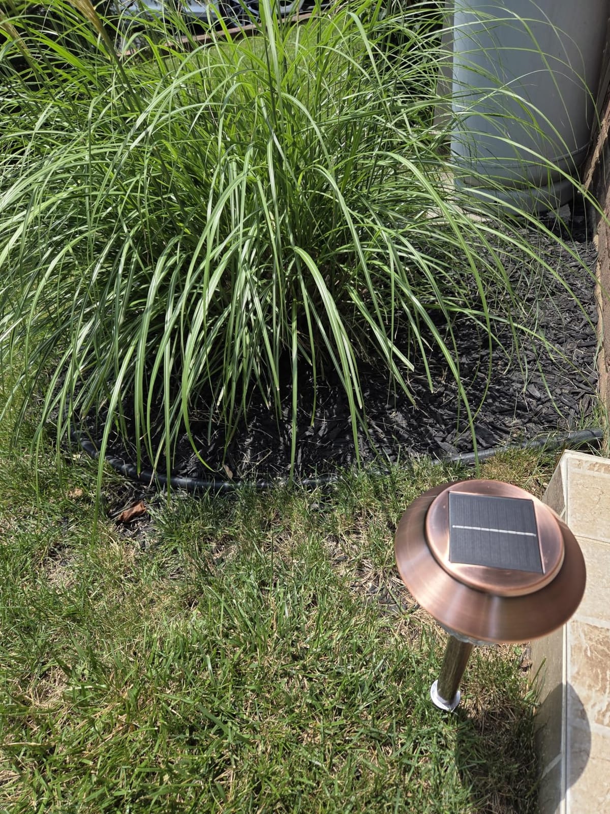 XMCOSY+ Solar Pathway Lights Outdoor - 6 Pack Solar Garden Lights, 10-40 LM Dimmable Solar Lights Outdoor Waterproof Auto On/Off IP 65 Solar Powered Landscape Lighting for Patio Walkway Driveway customer photo 2