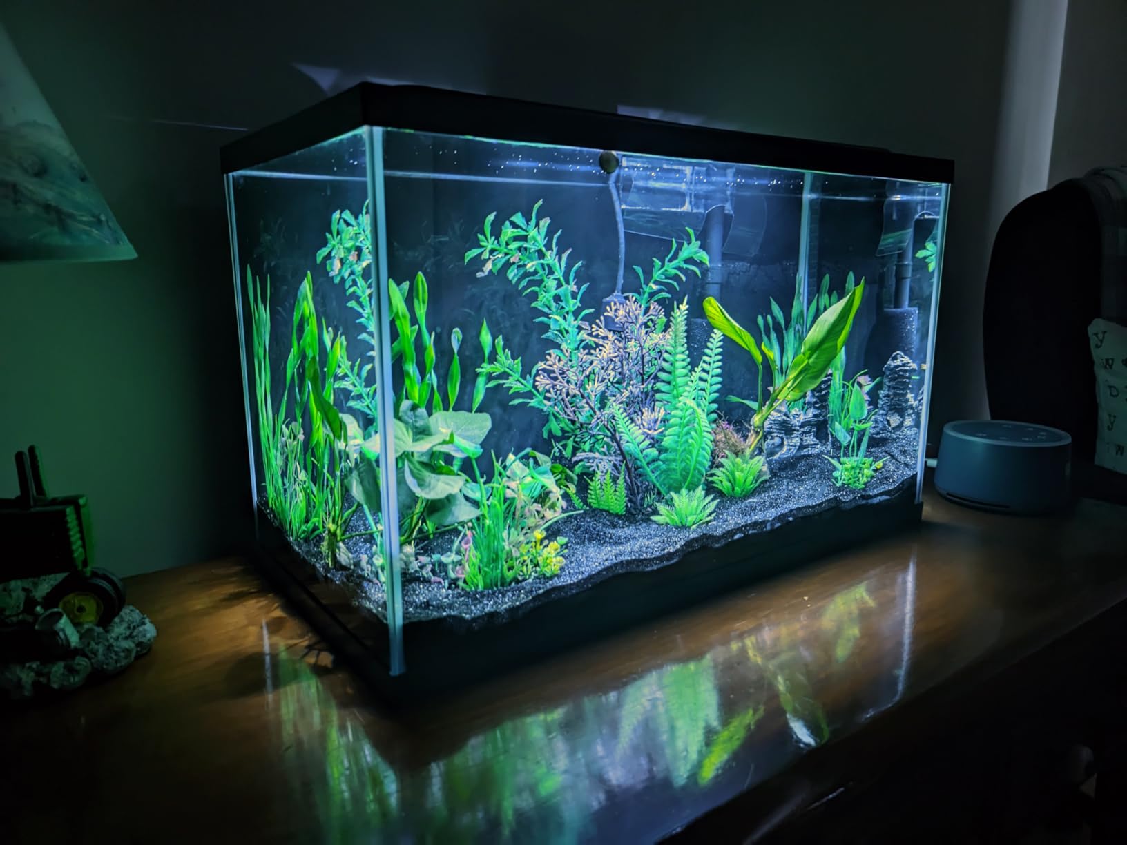 Tetra LED 55 Gallon Complete Fish Tank Kit for Freshwater Fish customer photo 1