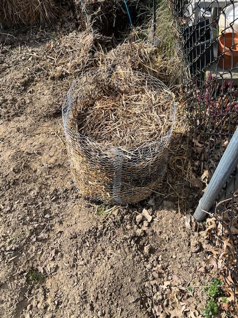 Chicken Wire Fencing Mesh, 16.9 Inch x 40 Feet Metal Floral Chicken Wire Fence for Crafts Poultry Garden, 0.6 Inch Hexagonal Galvanized Hardware Cloth Netting for Chicken Coop Barrier Rabbit Cage customer photo 1