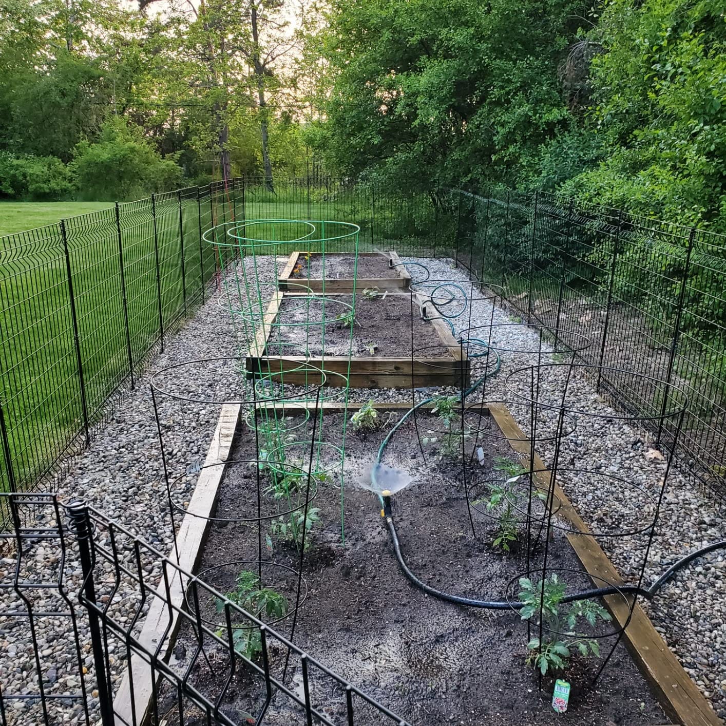 Melnor Multi-Adjustable Watering Set, 1800 Sq Ft: 3 Sprinklers, 2 Hoses customer photo 2