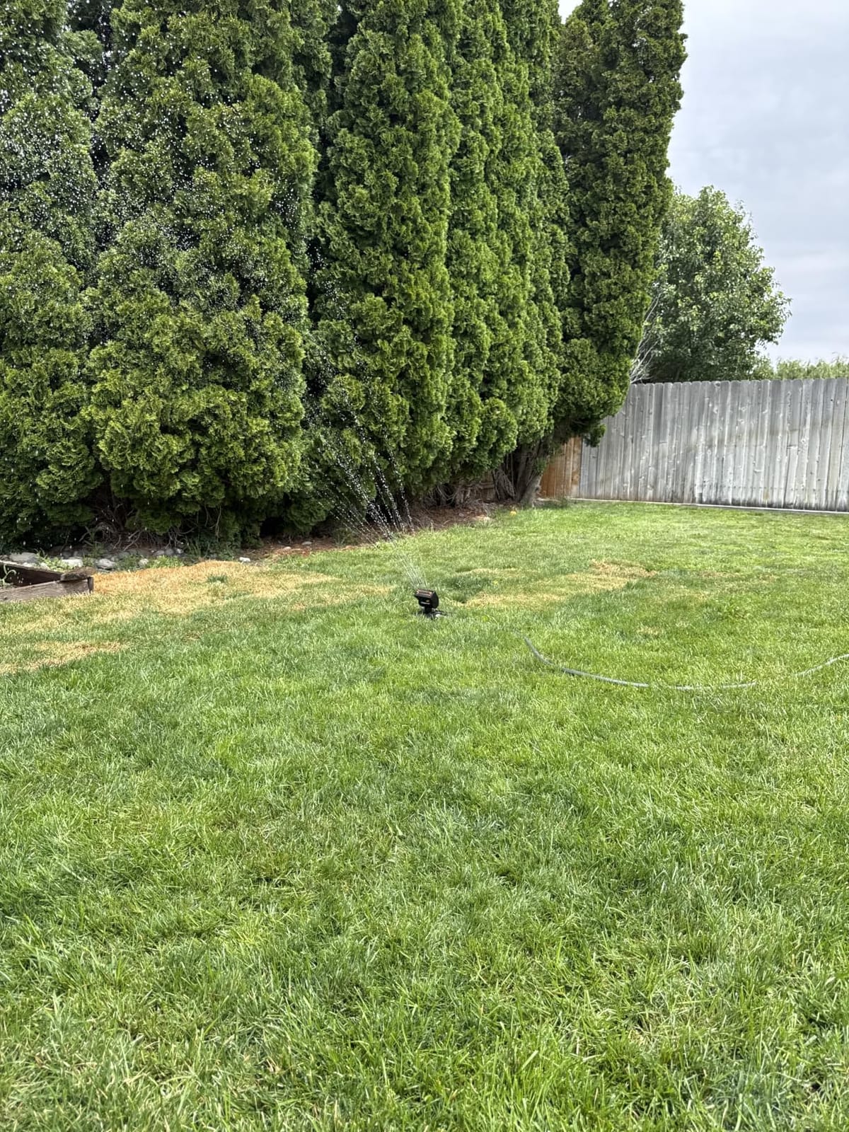 Melnor MiniMax Turbo Sprinkler, 4000 Sq Ft: 360°, Flow, Width, Range Adjust customer photo 2