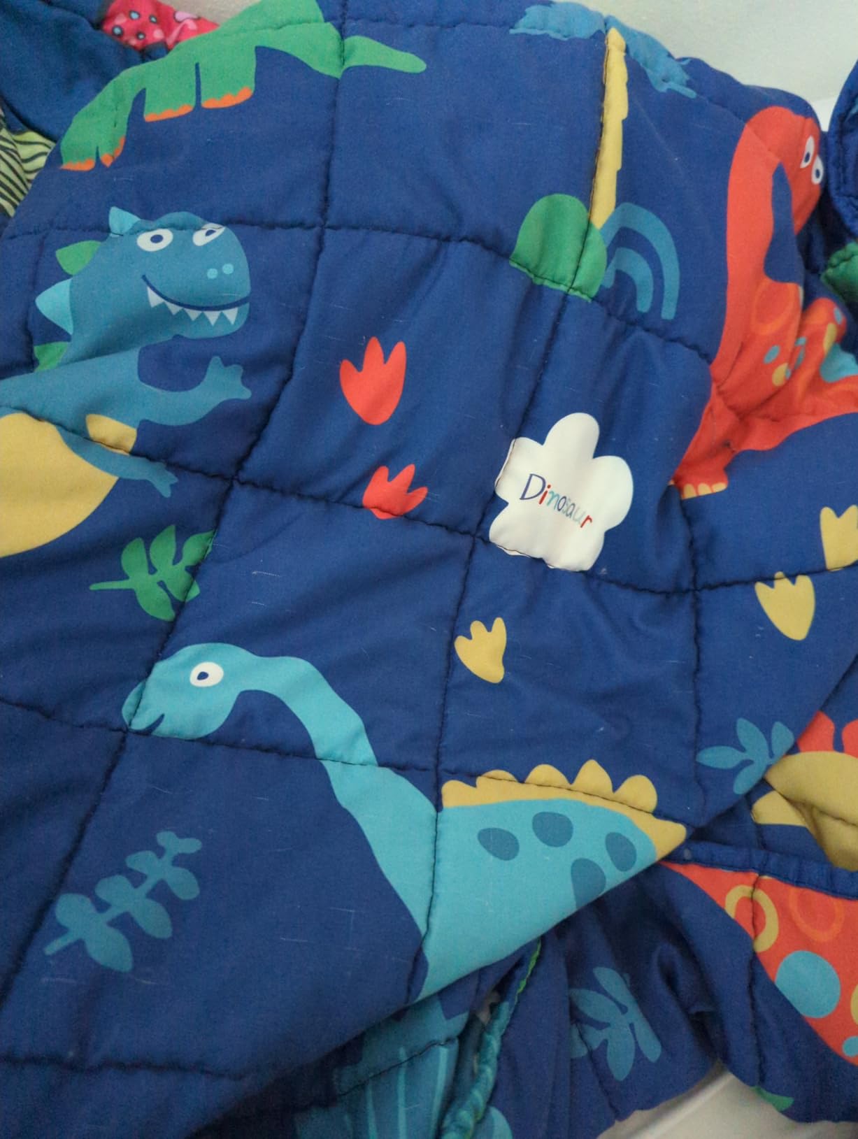 Dinosaur Weighted Blanket 5lbs Cool Small Heavy Throw Blanket Gifts 36
