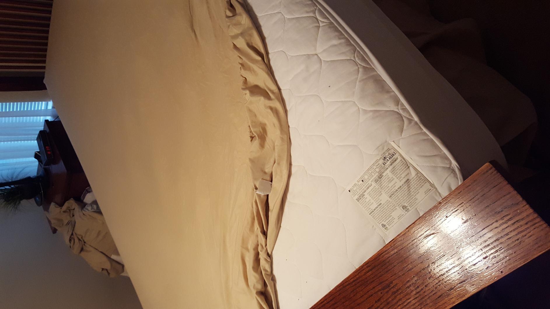 Cosy House Collection 100% Rayon Derived from Bamboo Bed Sheet Set customer photo 1