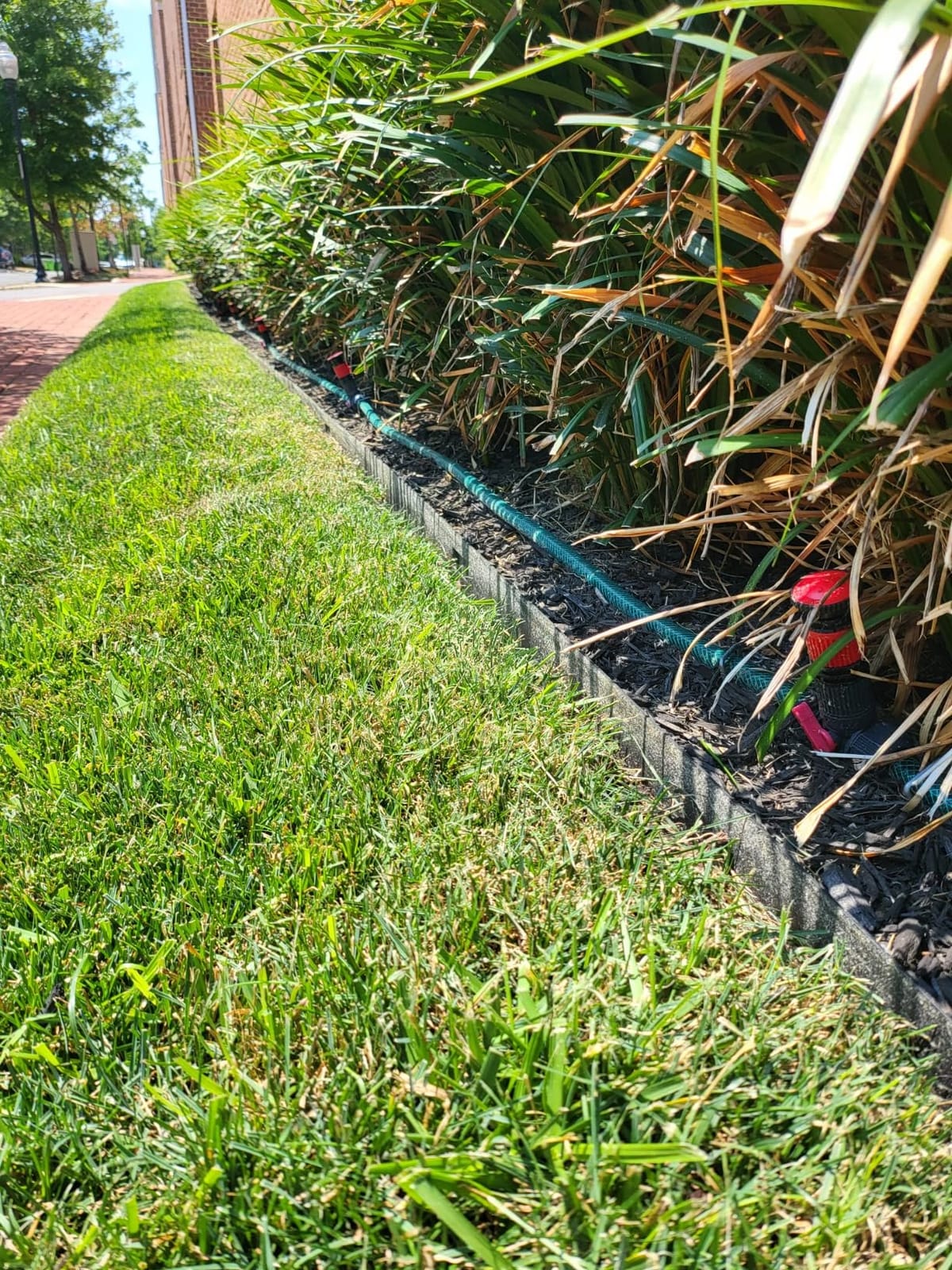 Eden 98063 Multi-Adjustable Flex Design Above Ground Irrigation Garden Sprinkler System, Sprinkler & Hose, DIY Plant Watering Set customer photo 2