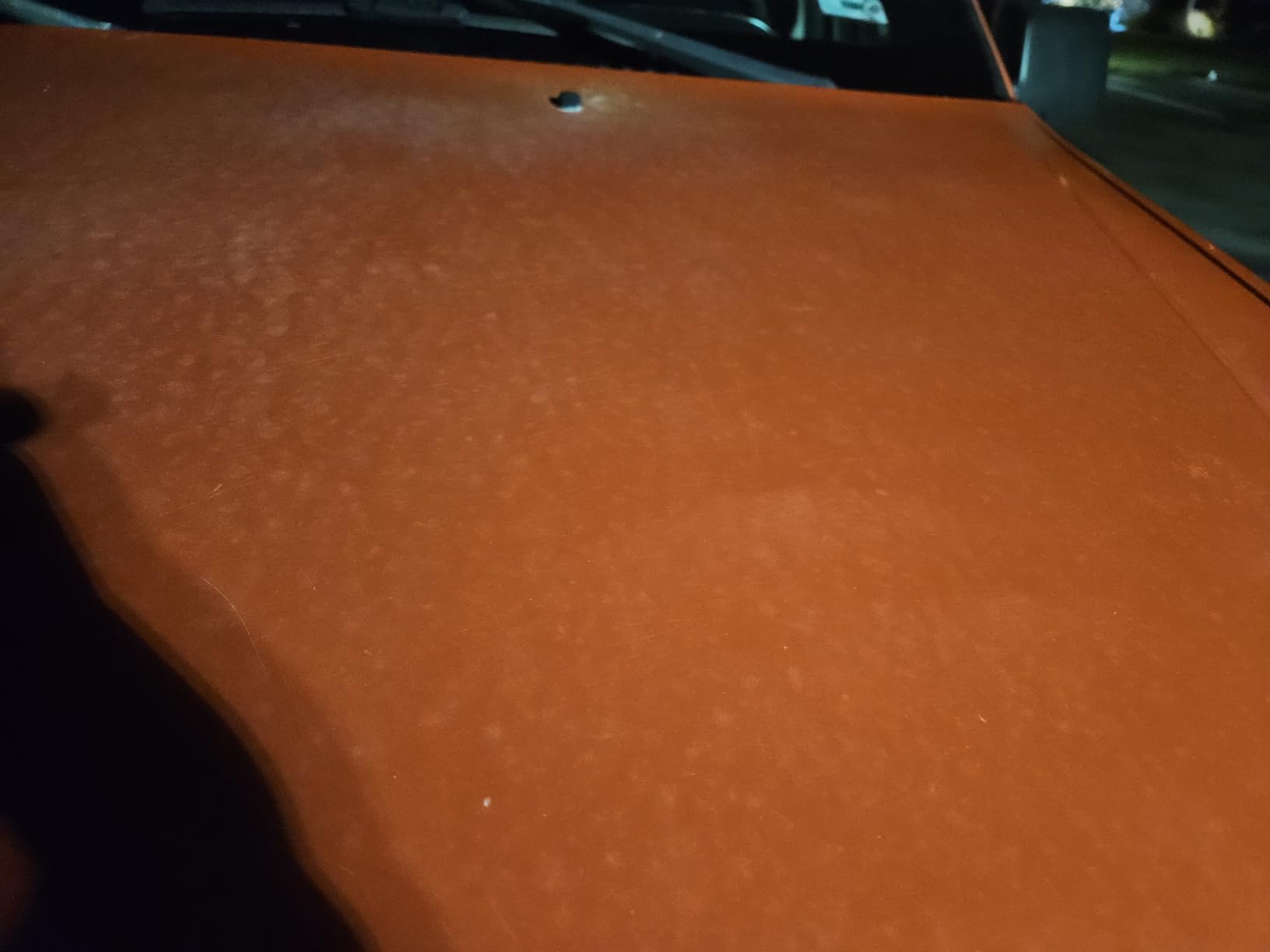 CERAKOTE® Rapid Ceramic Paint Sealant, Ceramic Coating for Cars, 14 oz customer photo 2