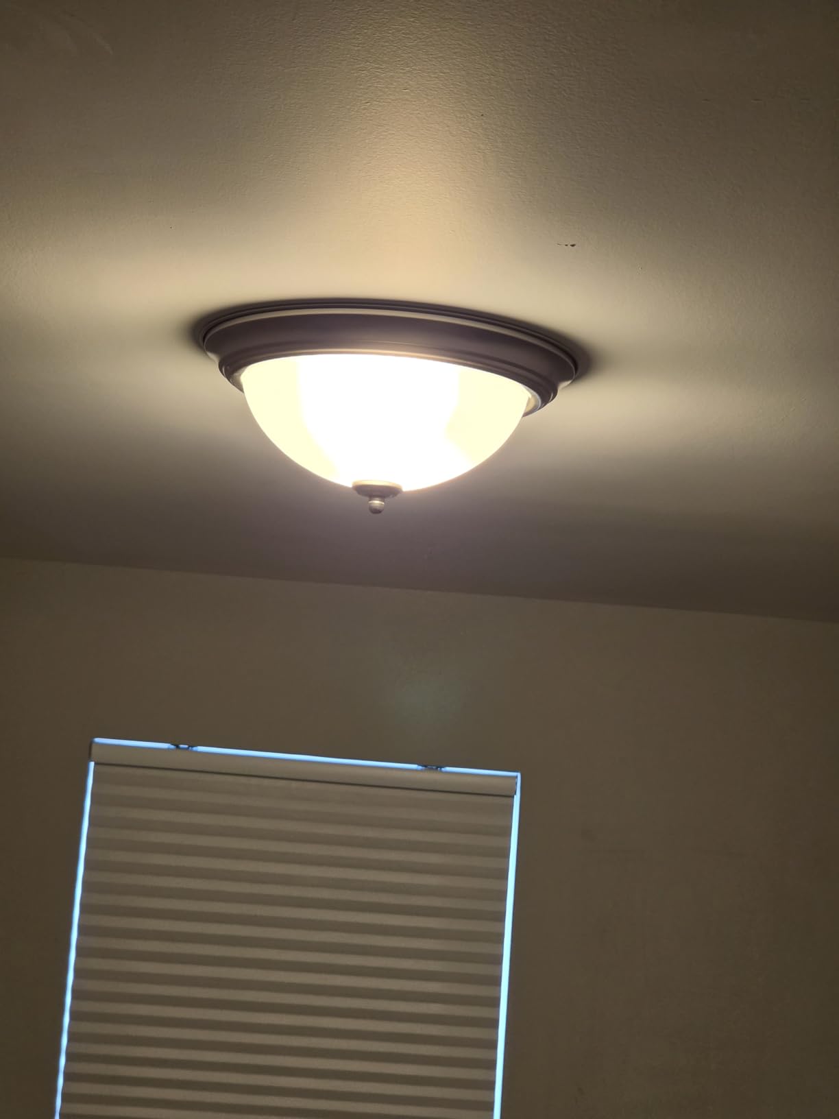 Bevenus Low Profile Ceiling Fan with Lights,110v Modern Dimmable Flower Shape, Remote Control/app Control,Timing 6 Gear Speeds Fan Ceiling Lamp. customer photo 1