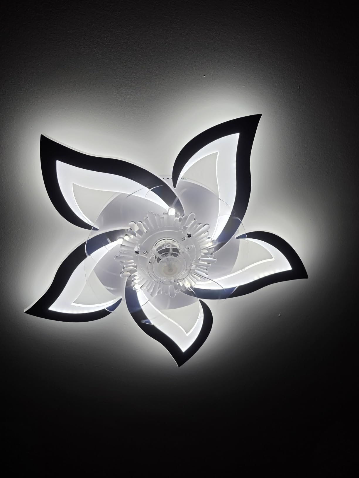 Bevenus Low Profile Ceiling Fan with Lights,110v Modern Dimmable Flower Shape, Remote Control/app Control,Timing 6 Gear Speeds Fan Ceiling Lamp. customer photo 2