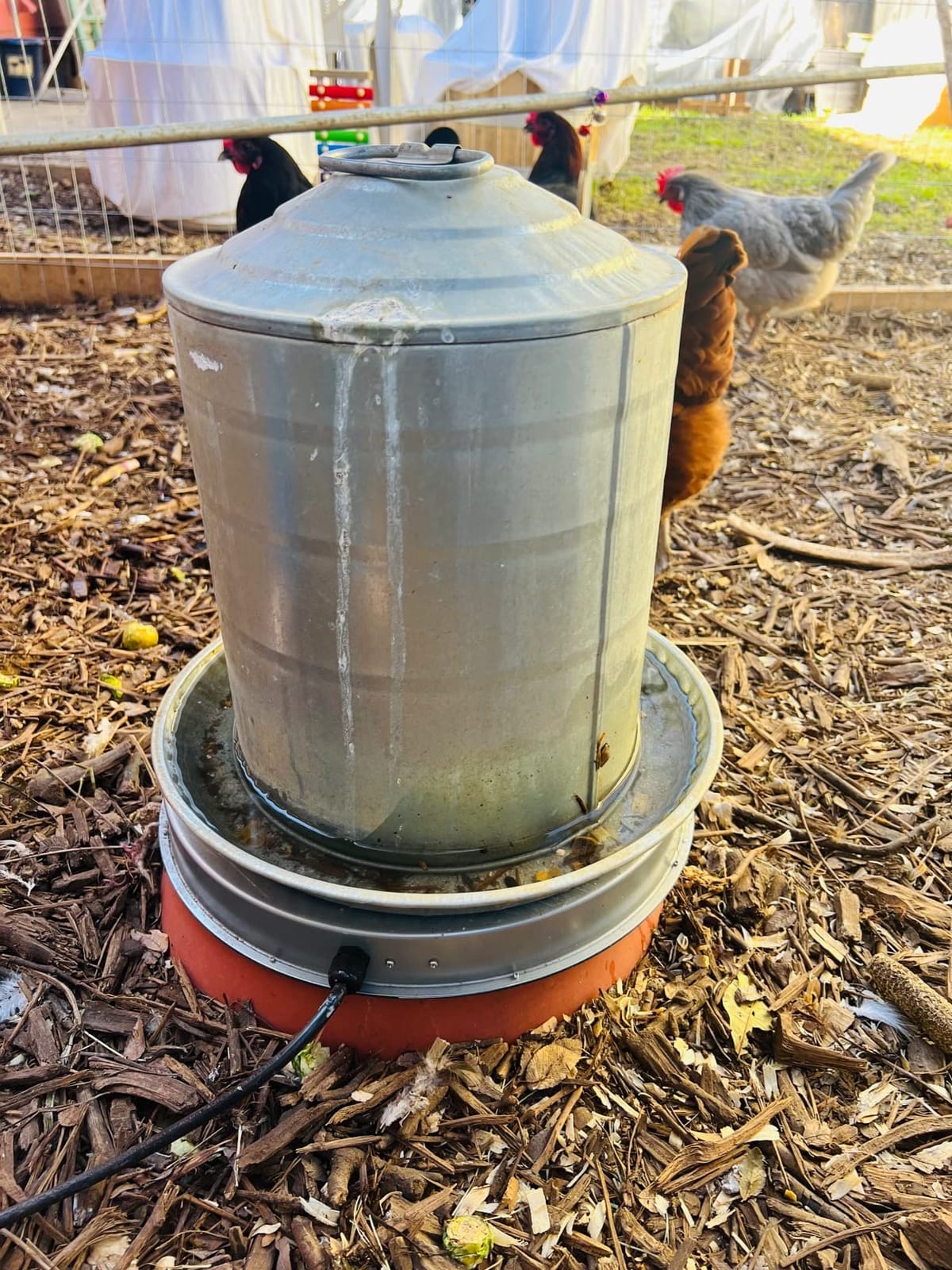 Chicken Water Heater Base for Winter, Heated Chicken Waterer 5 Gallon 125W customer photo 1