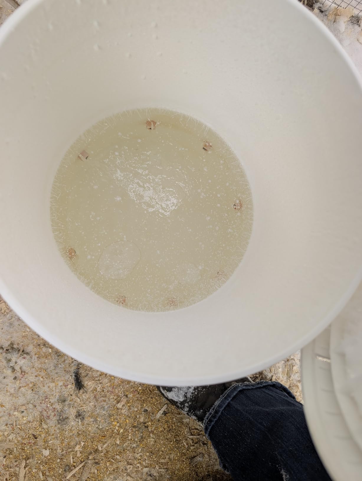 Chicken Water Heater Base for Winter, Heated Chicken Waterer 5 Gallon 125W customer photo 2