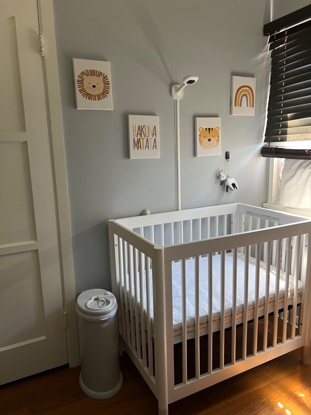 Babyletto Gelato 4-in-1 Mini Crib, Natural Walnut and Brushed Gold Feet customer photo 1
