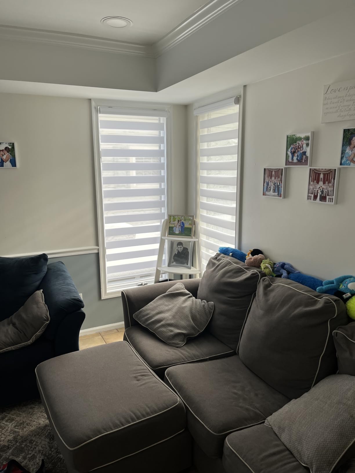 Persilux Cordless Zebra Roller Window Shades Free-Stop Roller Blinds (36