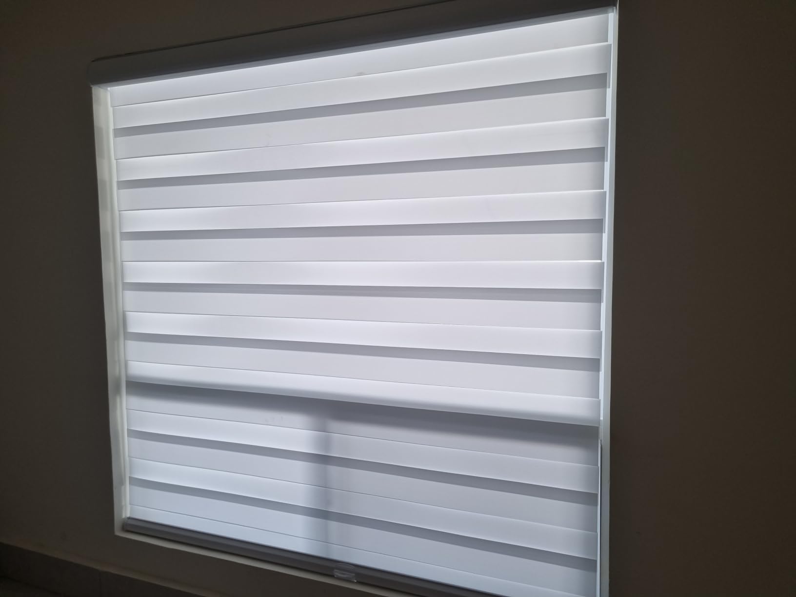 Persilux Cordless Zebra Roller Window Shades Free-Stop Roller Blinds (36