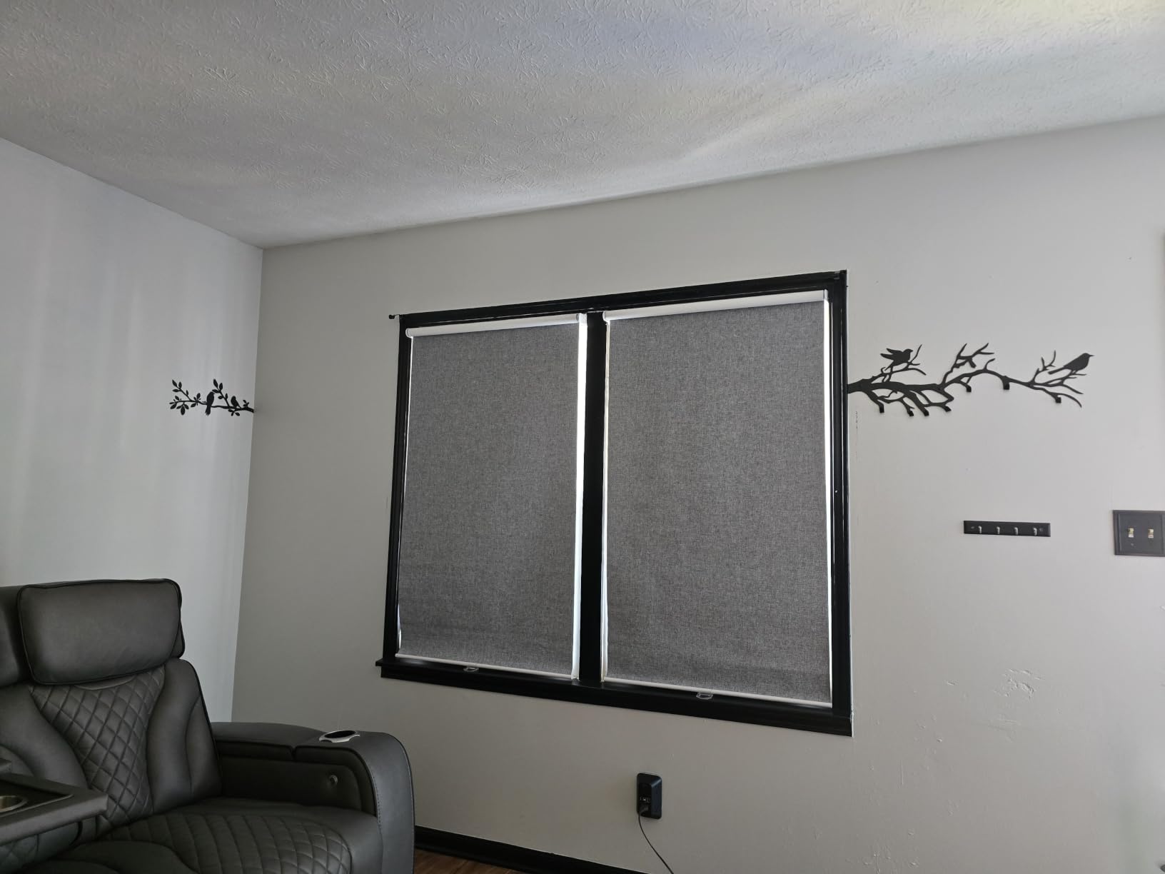 AOSKY Blackout Cordless Roller Shade for Indoor Windows, 23