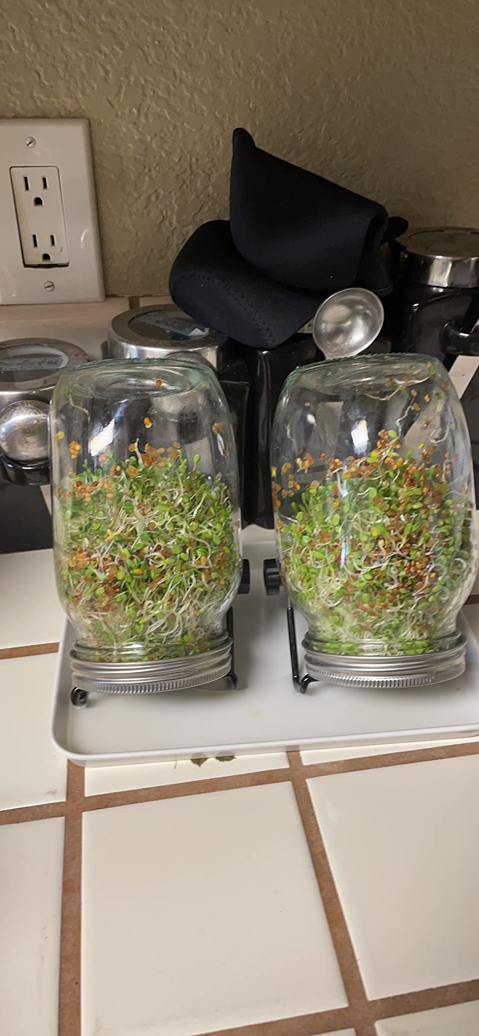Kikerike Seed Sprouting Jar Kit with 2 Wide Mouth Mason Jars Bean Sprouts Growing Kit Microgreens Growing Jar with Mesh Screen Lids Sprouter Sprouts Maker for Growing Broccoli, Alfalfa, Mung Bean customer photo 1