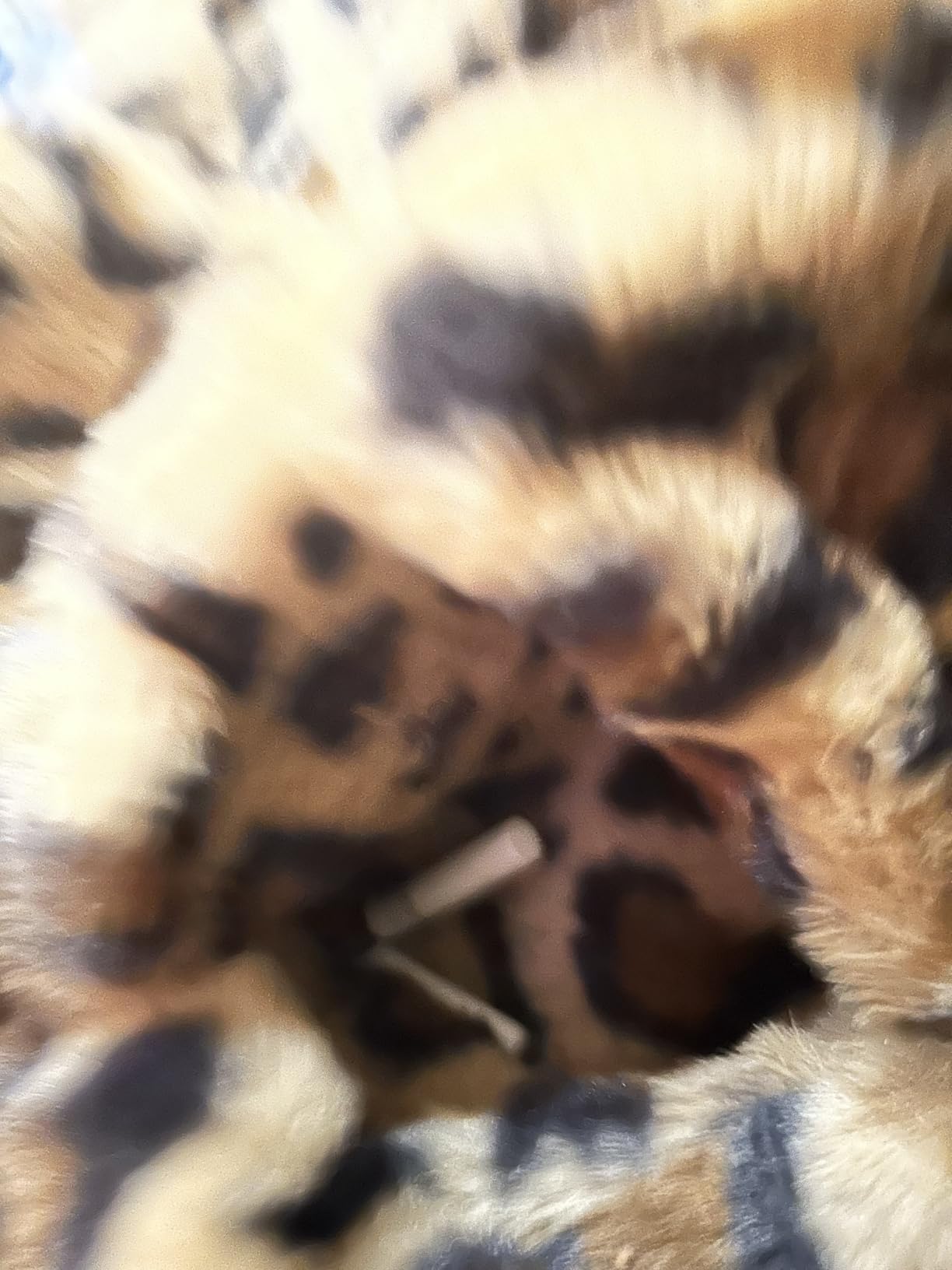 Omoone Women's Faux Fur Jackets Leopard Coats Loose Fur Coat with Pockets customer photo 2