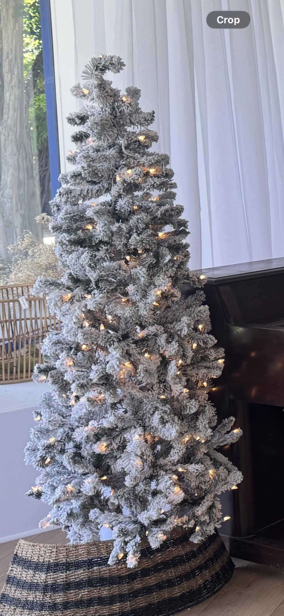 National Tree Company 6ft Pre-Lit Flocked Acacia Slim Christmas Tree customer photo 1