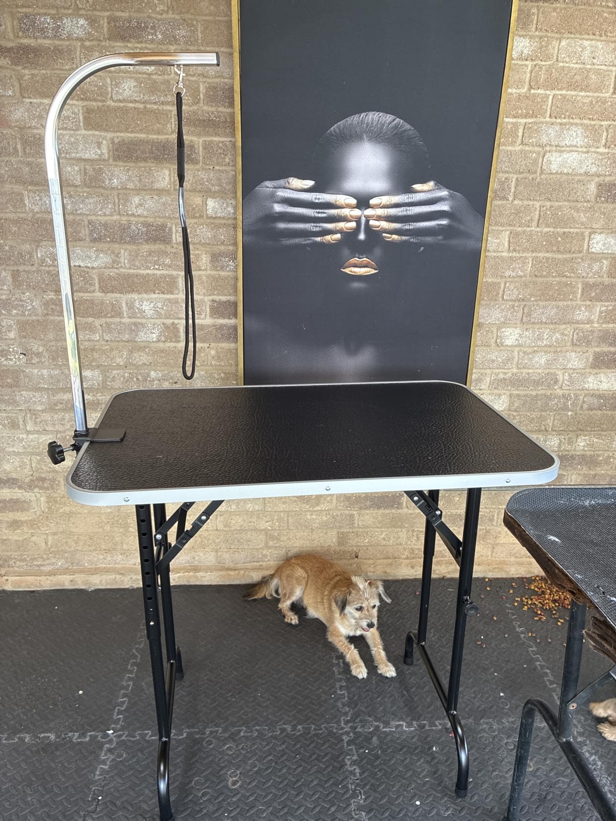 LEIBOU 36-inch Height Adjustable(23''~33.8'') and Foldable Pet Dog Grooming Table with Grooming Arm & 2 Noose for Dog Cat Pet Grooming Maximum Capacity Up to 260lbs customer photo 2