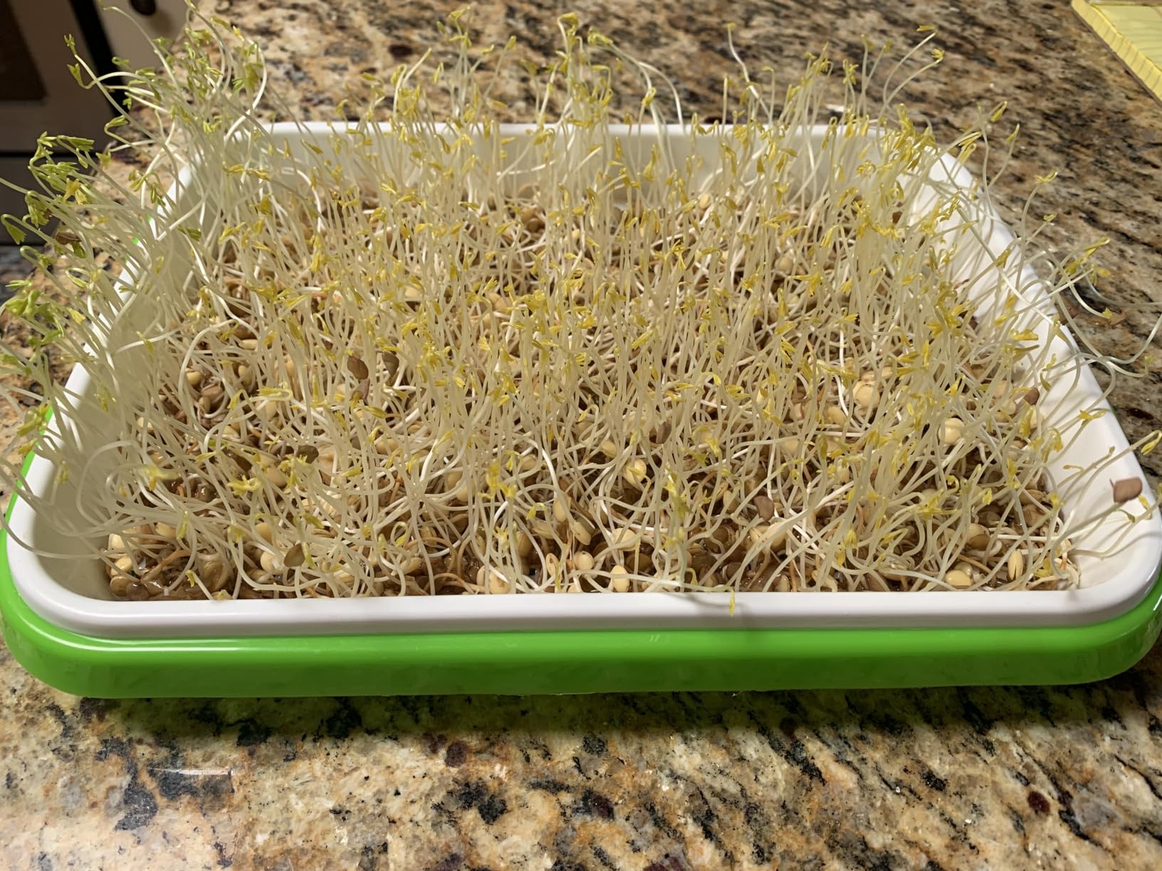 Legigo 10 Pack Seed Sprouter Trays, Microgreens Growing Trays Kit customer photo 1