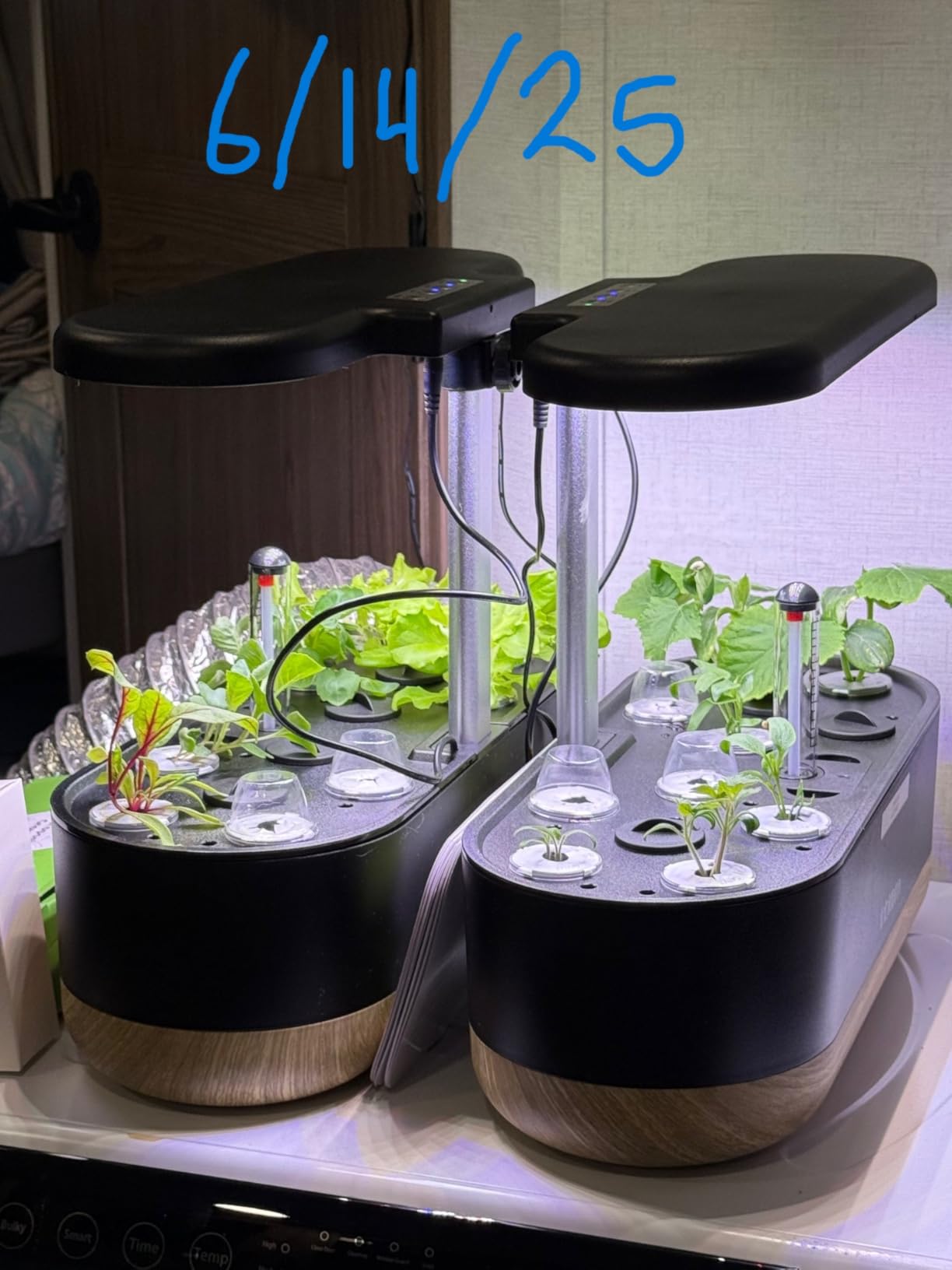 inbloom Hydroponics Growing System 12 Pods, Indoor Herb Garden with LEDs Full-Spectrum Plant Grow Light, Water Shortage Alarm, Automatic Timer, Height Adjustable,Gardening Gifts for Women, White customer photo 1