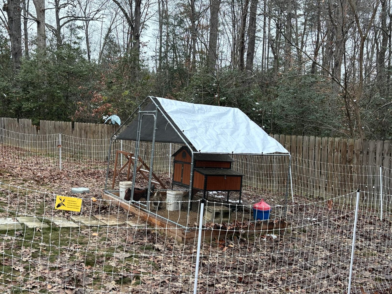 Outdoor Metal Chicken Coop Cover with 22 pcs Ball Bungee Cords, for Large Walk-in Chicken Run Pen, Waterproof, Fence Chicken Cages Cover, 11'Lx6.33'W (Only Cover, Frame Not Included) 1 Pack customer photo 2