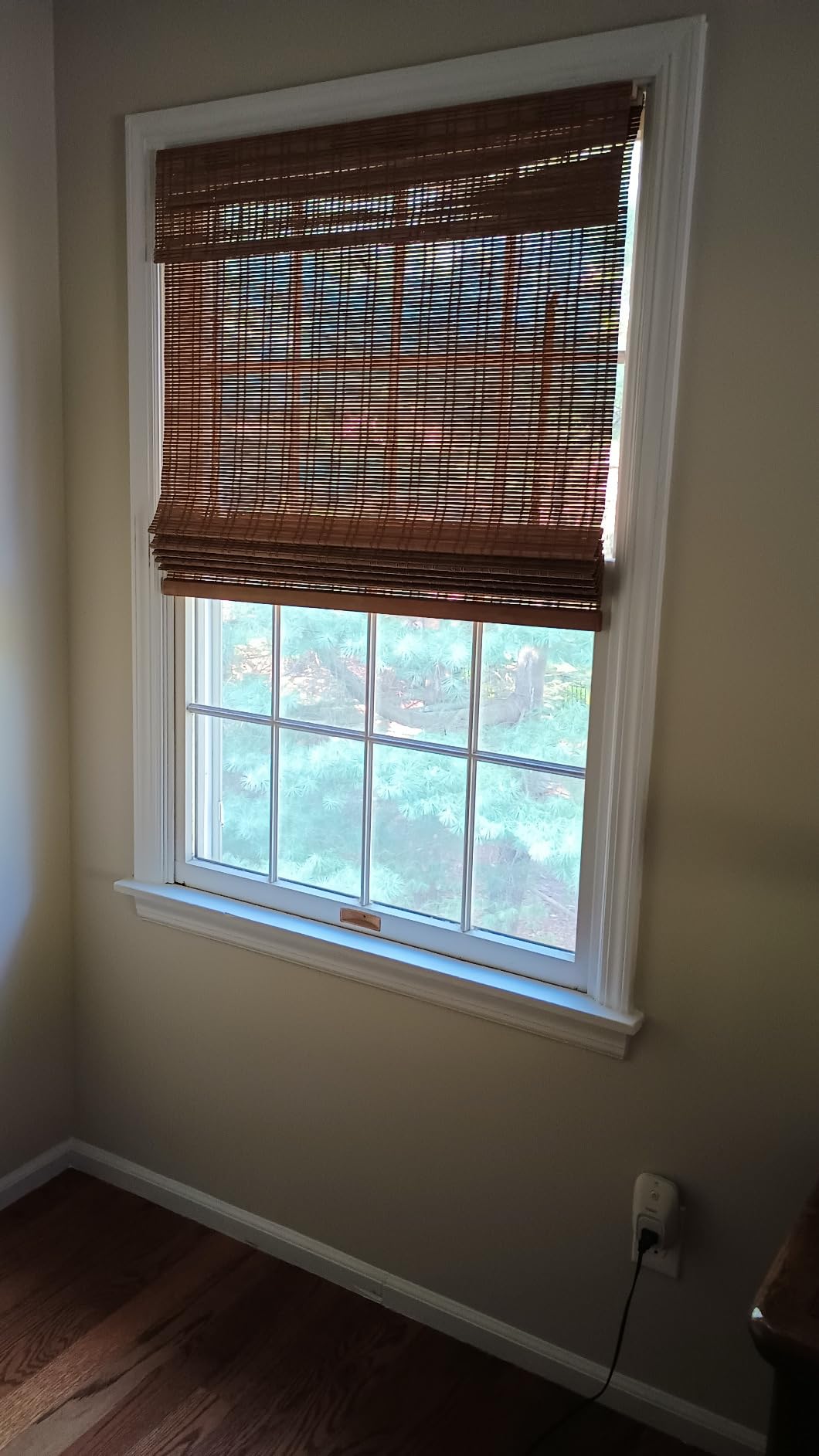 CALYX INTERIORS Cordless Bamboo Roman Shade Blind, Light Filtering, 27.5
