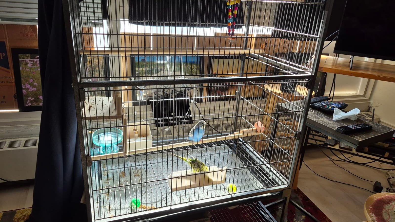 Yaheetech 60.5inch Extra Large Bird Cage Metal Parrot Cage Flight Cage for Cockatiels African Grey Quaker Green Cheek Sun Conure Medium Birds Parrots customer photo 2