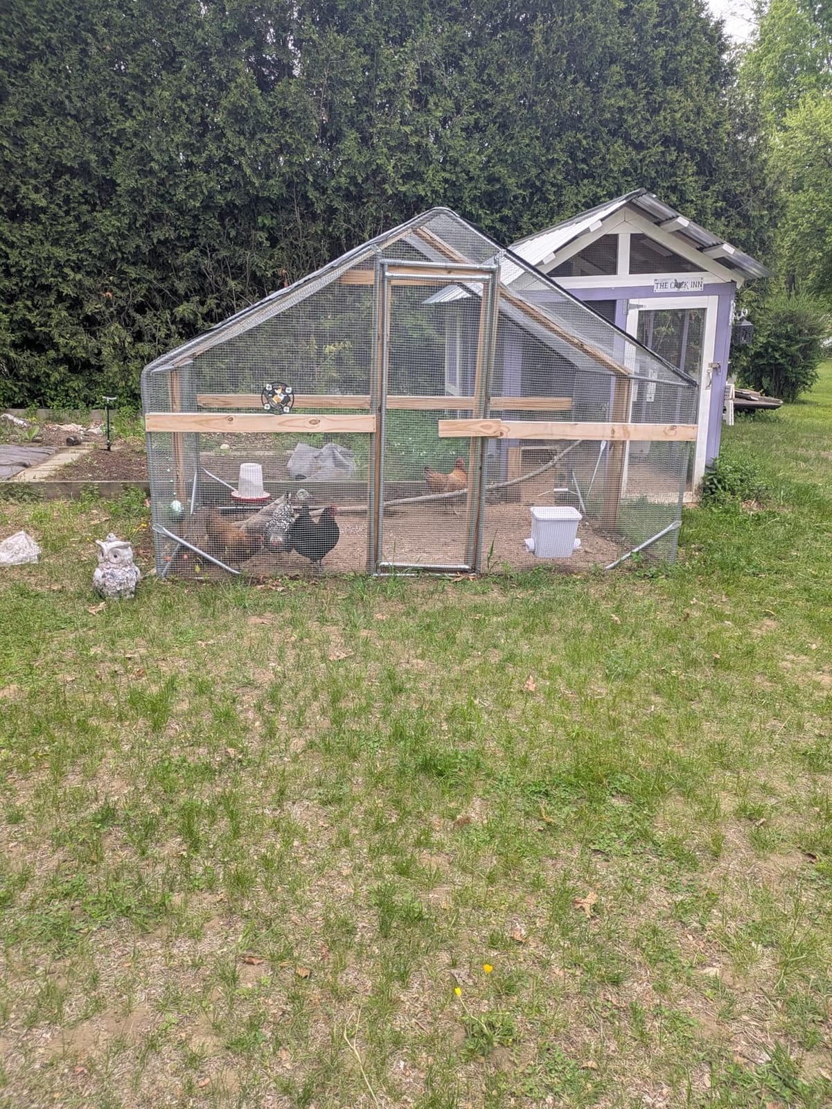 13x9.8x6.5 ft Large Metal Chicken Coop Walk-in Chicken Run with Cover customer photo 2