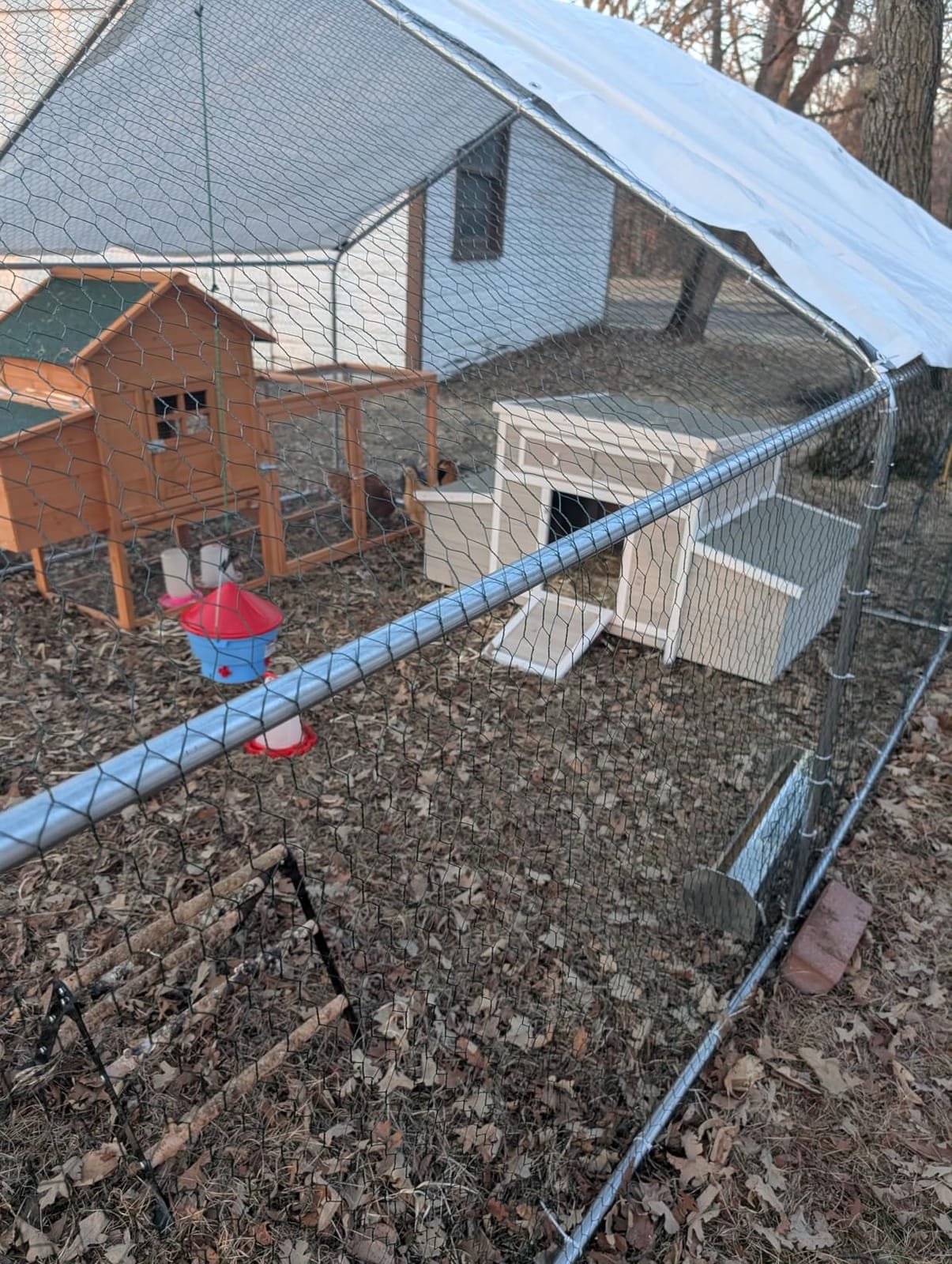 CHIKENCOOP 9.8 x 6.5 x 6.5 ft Metal Chicken Coop, Chicken Run with Cover customer photo 2