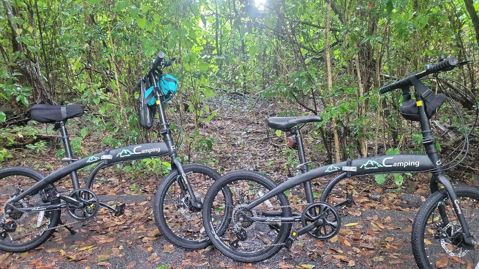 Ktaxon 20 in Folding Bike Adult Foldable Bike, 7-Speed Folding Bicycle | 100% Assembled, Double Shock Effect, Powerful Mechanical Dual Disc Brakes and Adjustable & Comfortable Seat (Black & Green) customer photo 2