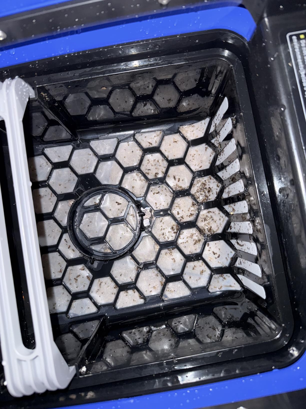 Betta SE Solar Powered Automatic Robotic Pool Surface Skimmer Cleaner with 24/7 Continuous Cleaning Battery Power and Re-Engineered Twin Salt Chlorine Tolerant Motors (Blue) customer photo 1