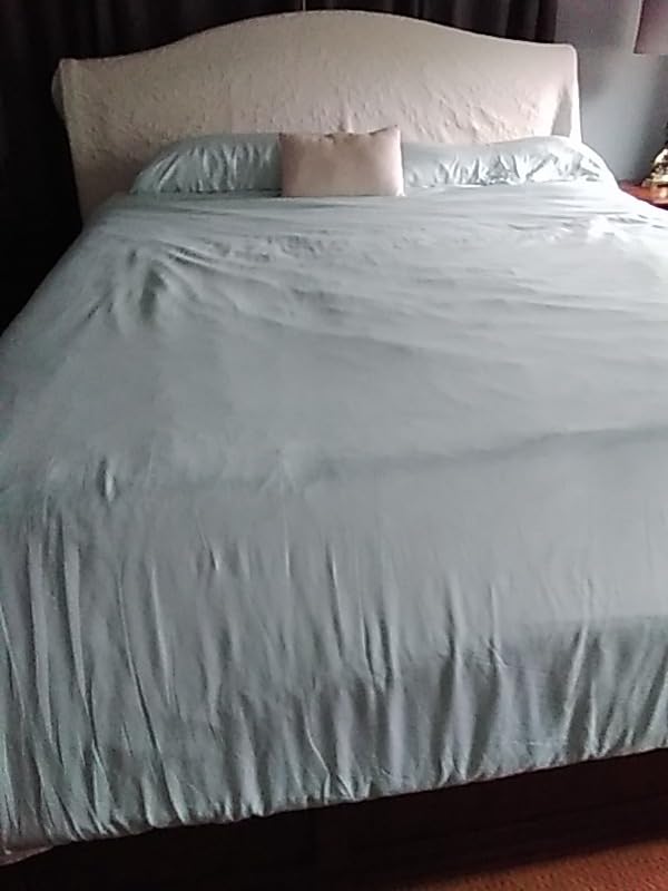 YOUR MOON Lightweight Summer Mulberry Silk Comforter Queen, White customer photo 2
