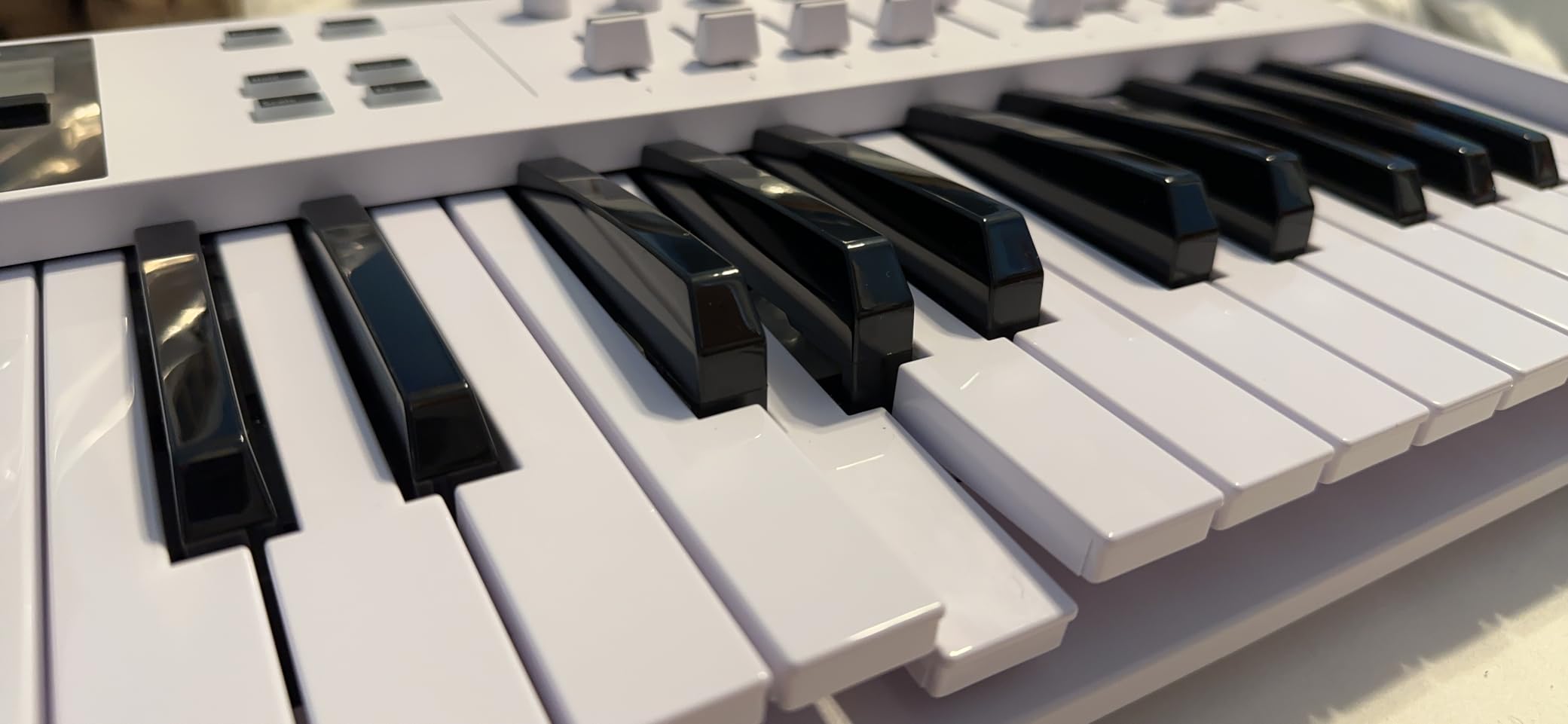 Arturia KeyLab Essential mk3 — 49 Key USB MIDI Keyboard Controller with Analog Lab V Software Included customer photo 1