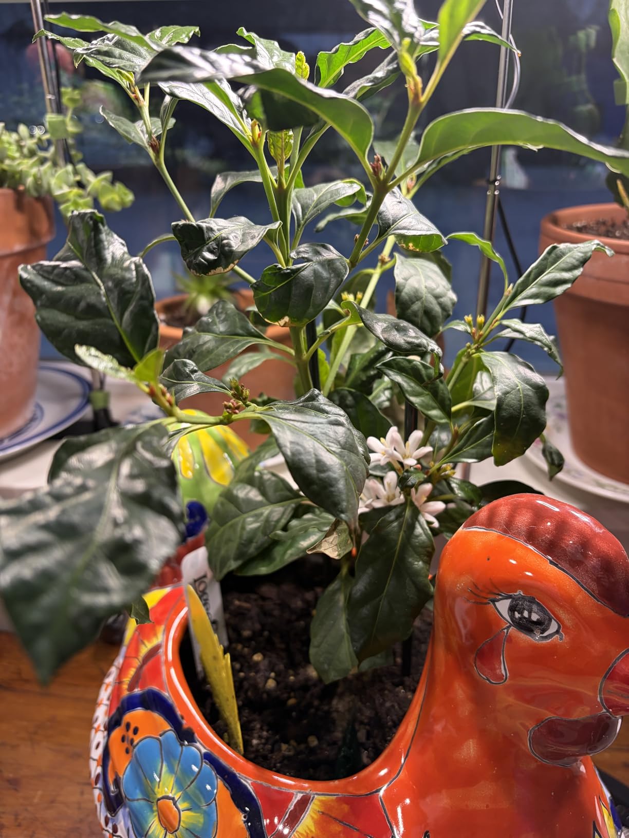 Aokrean Grow Lights for Indoor Plants, Full Spectrum Plant Light with Base customer photo 2