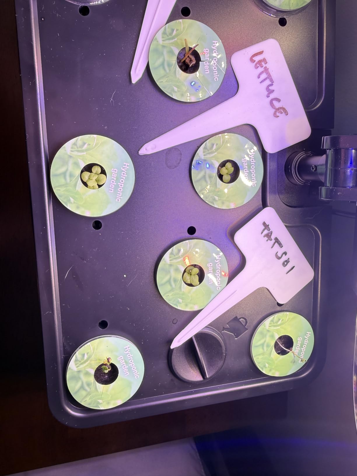URUQ 8 Pods Hydroponics Growing System with LED Grow Light - White customer photo 2
