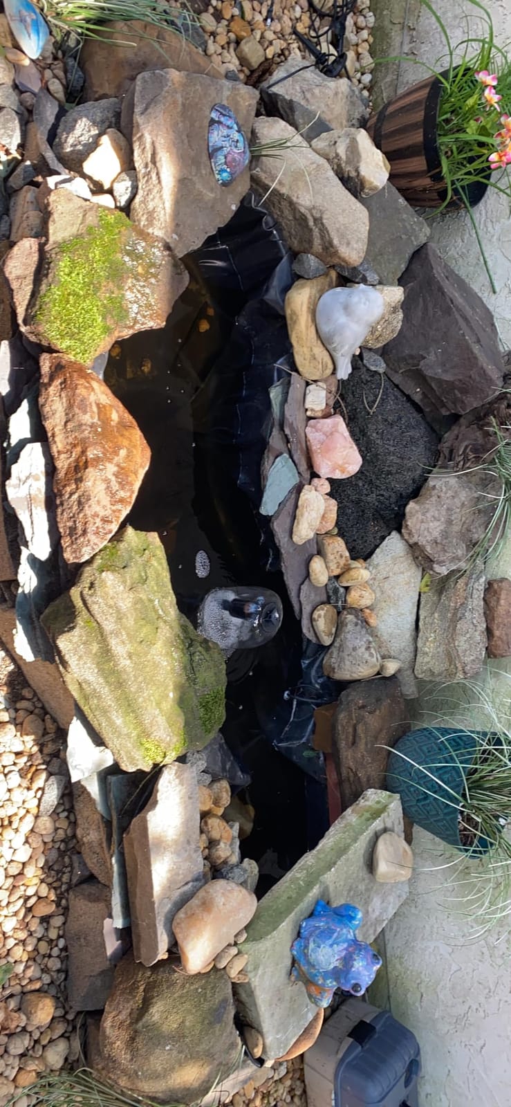 10 x 13 FT Pond Liner, 20 Mil HDPE Pond Liners for Outdoor Ponds customer photo 1