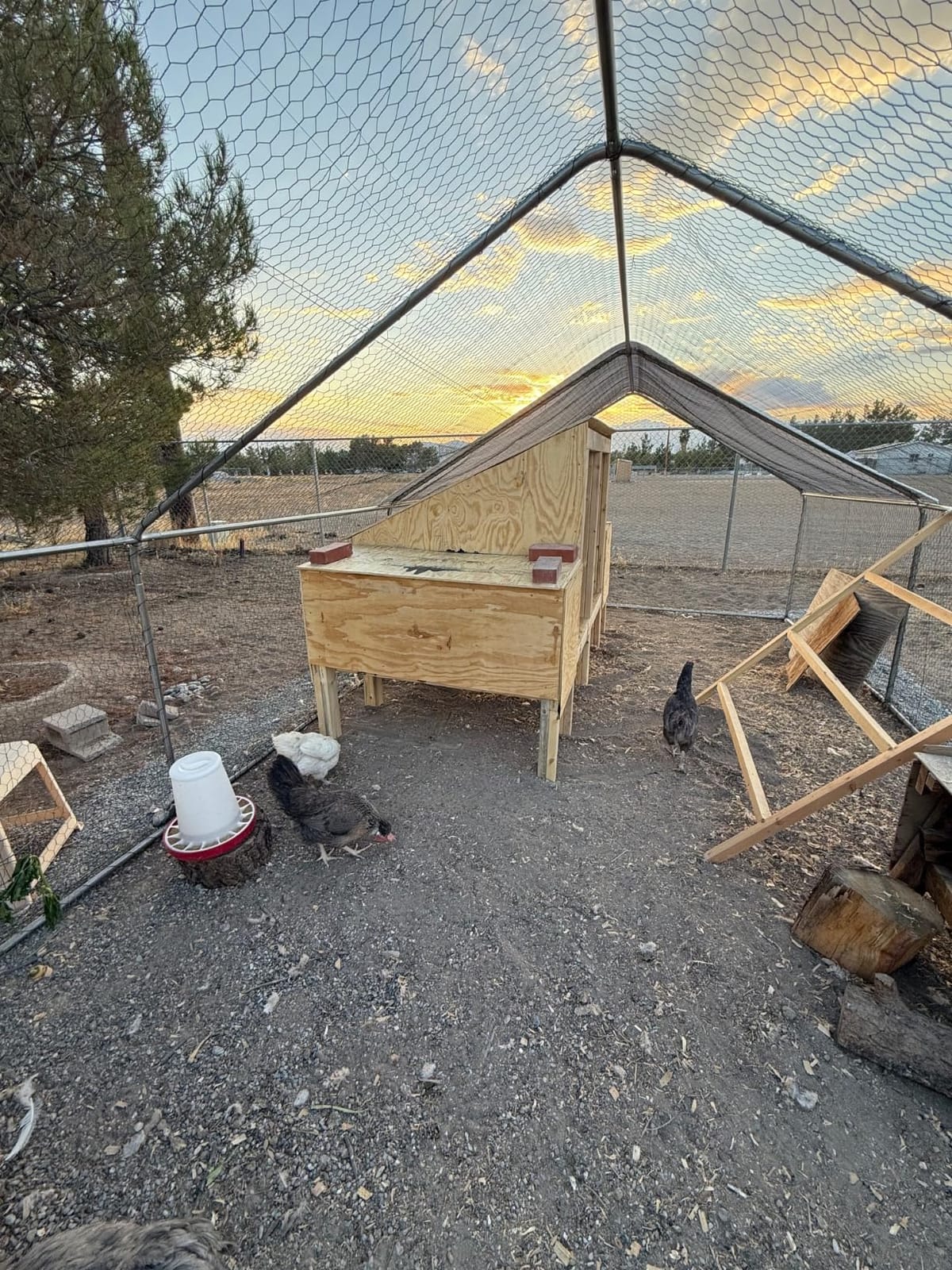 Walk-in Chicken Coop 10x10 ft, Metal Poultry Cage for 10-15 Chickens, Steel customer photo 1