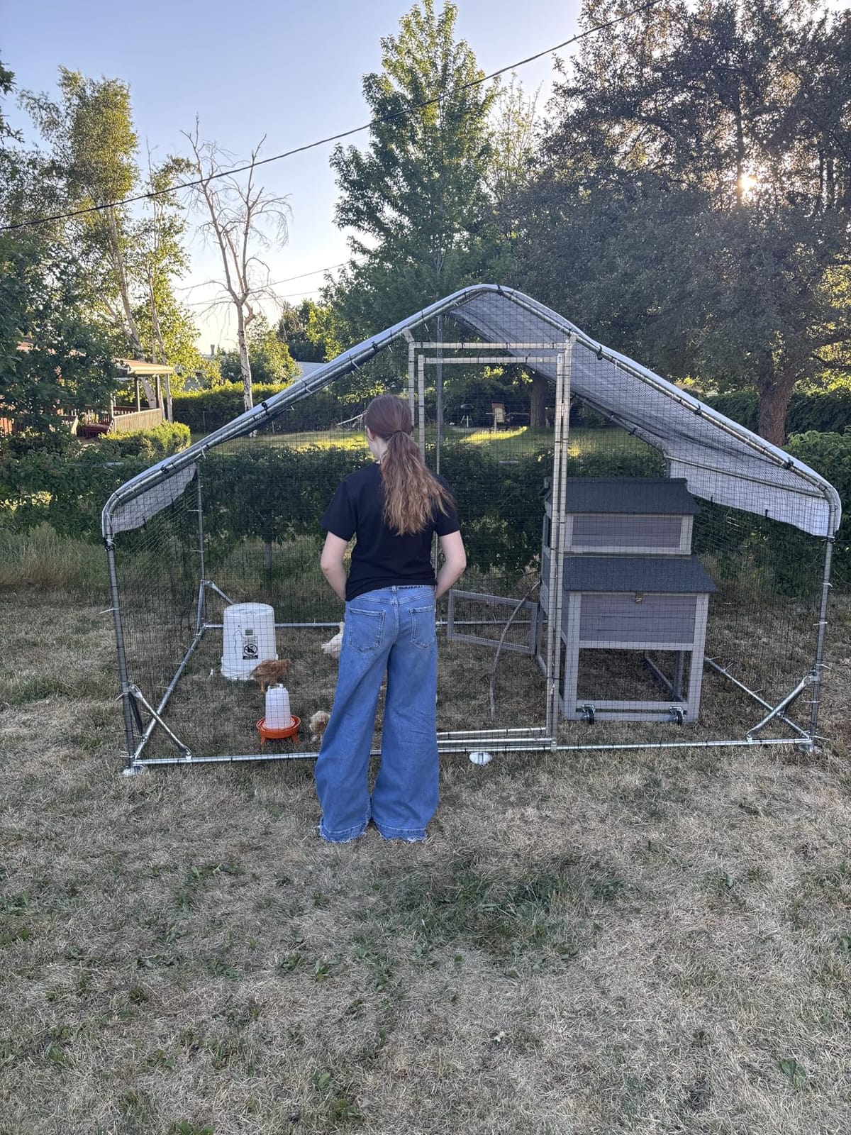 Walk-in Chicken Coop 10x10 ft, Metal Poultry Cage for 10-15 Chickens, Steel customer photo 2