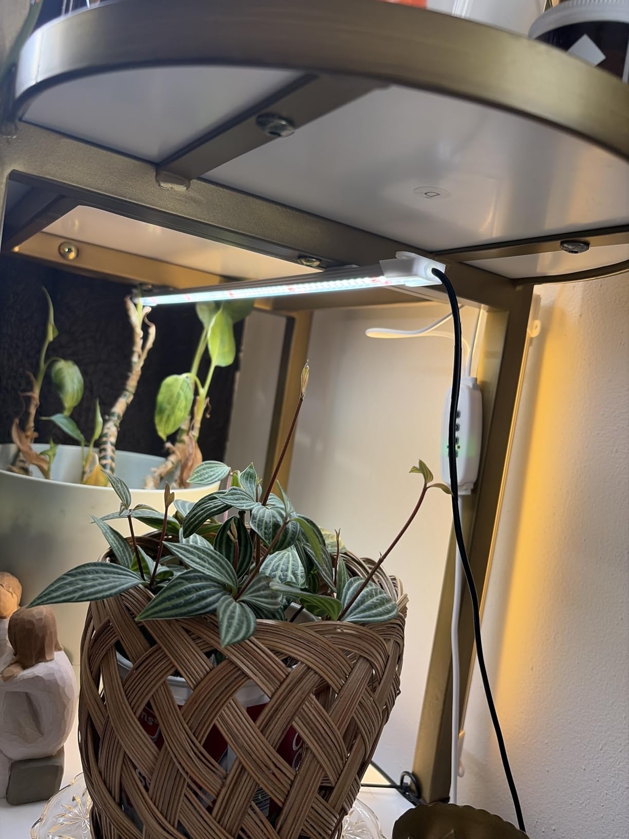 LED Grow Light Strips, 13 Inches Grow Lights for Indoor Plants Full Spectrum 3500K, 96 LEDs Plant Light with 3/9/12H Timer, 10 Dimmable Levels for Seedling Succulent, 2 Head customer photo 1