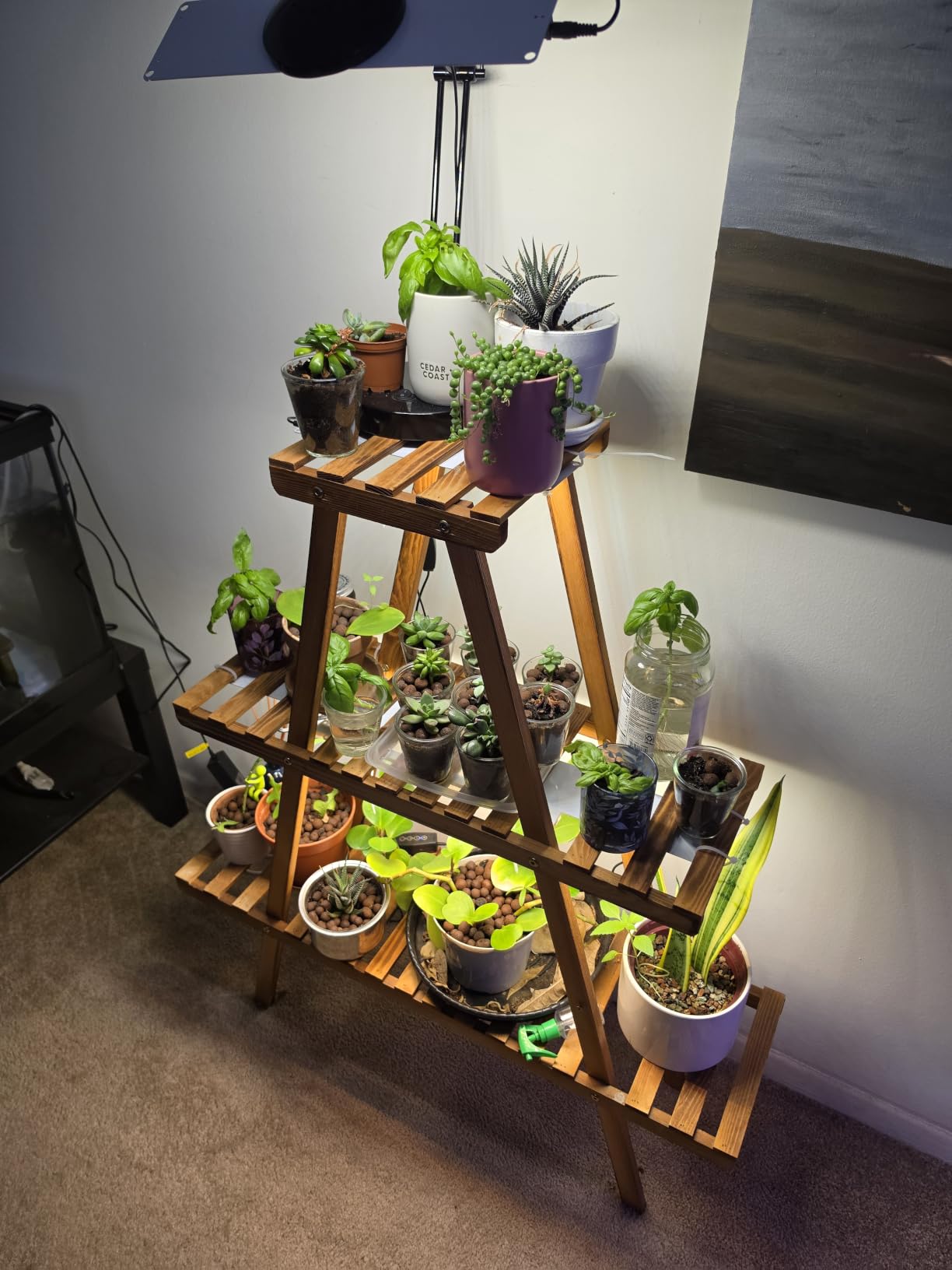 Grow Light,40W Ultra-Thin Panel Grow Lights for Indoor Plants,316LEDs Full Spectrum Grow Lights for Under Cabinet Plant, Grow Lamp with 3/9/12H Timer,10 Dimmable Levels for Plants Growing (4pcs) customer photo 1