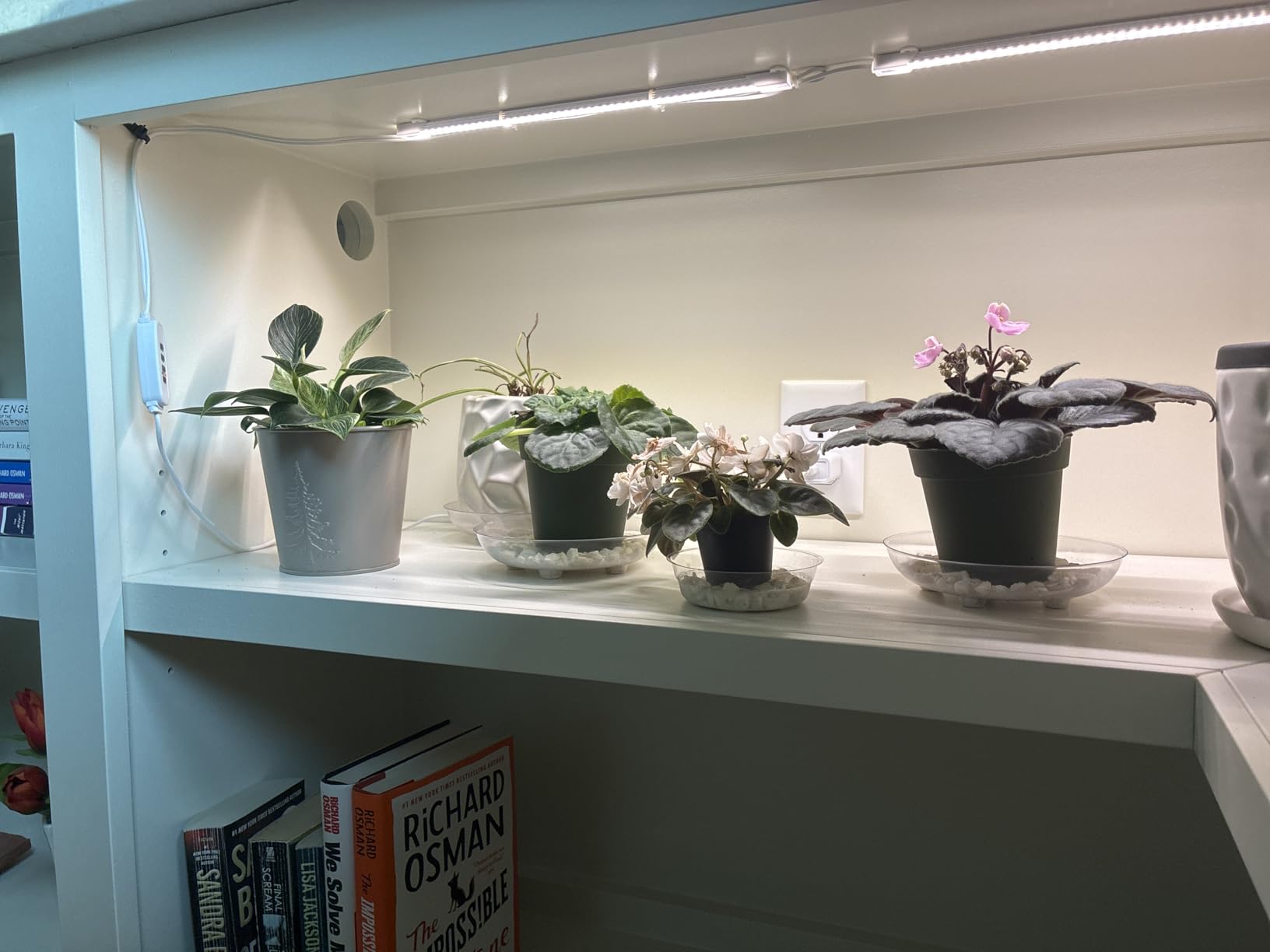 Hywyimlait LED Grow Light Strips for Indoor Plants Full Spectrum 3500K, 96 LEDs Plant Light Bar with 3/9/12H Timer, 10 Dimmable Levels for Seedling Succulent and Shelf, 13 Inches, 1 Head 2 Pack customer photo 2