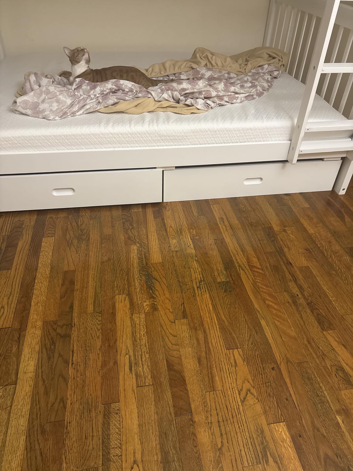 Merax Wood Bunk Bed with Drawers,Convertible Wood Bunk Bed with Ladders and Two Storage Drawers,Solid Wood Detachable Bed Frame with Ladders,Twin Over Full Size,Grey customer photo 2