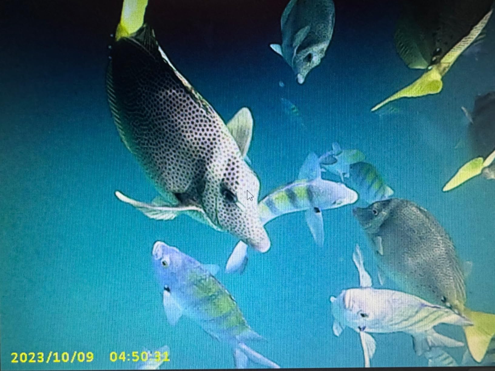 Agoigo Kids Waterproof Camera - Children Underwater Video Digital Camcorder customer photo 1
