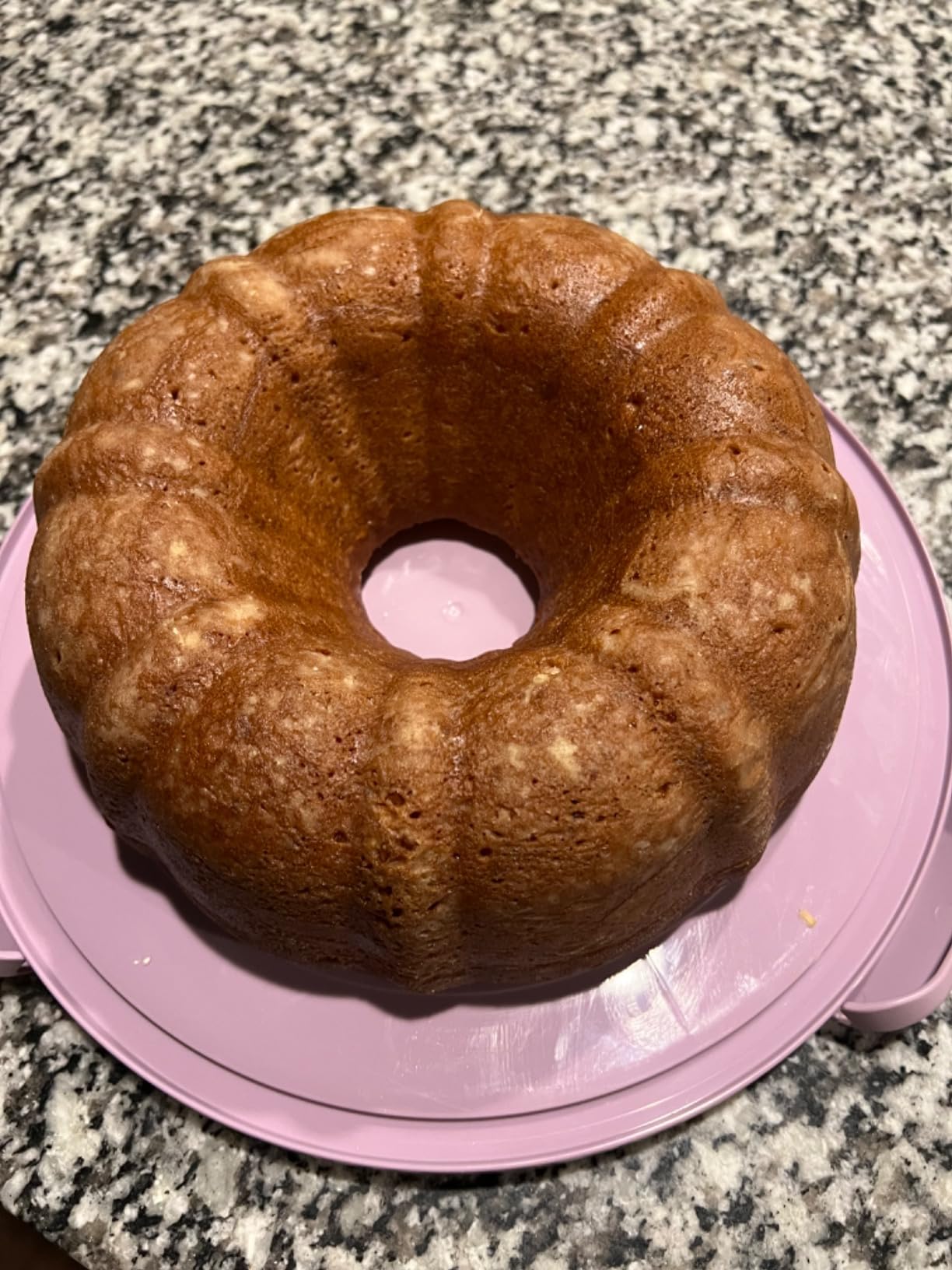 10in Plastic Cake Carrier with Handle, Round Cake Holder with Lid Pink Cake Container for 6in/8in/10in Cake(purple) customer photo 1