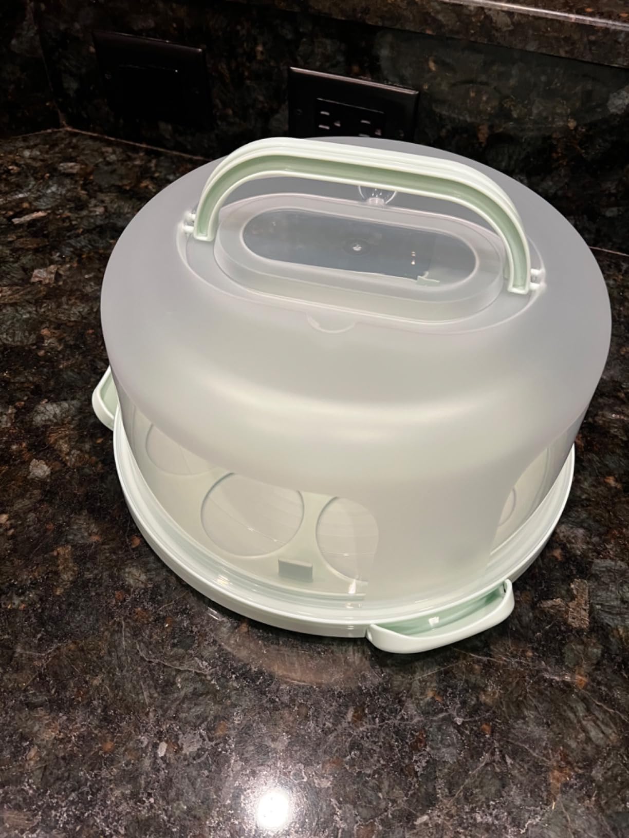 Cake Carrier with Lid and Handle，BPA-Free Cake Holder Cake Containers customer photo 1